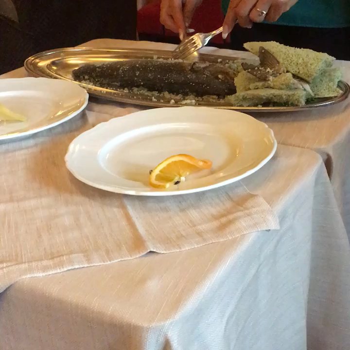 Harry's Bar - So fun to watch - Italian Near Me - Rome, RM