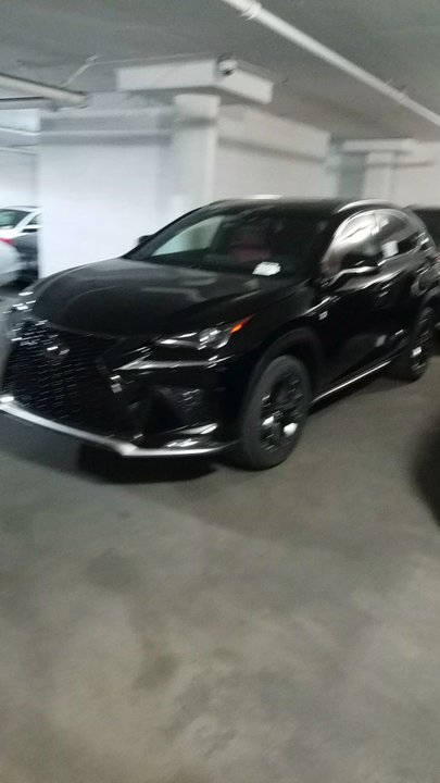 Lexus of Riverside - Thanks Doug Thompson & Ray Rasooli - Car Dealers Near Me - Riverside, California
