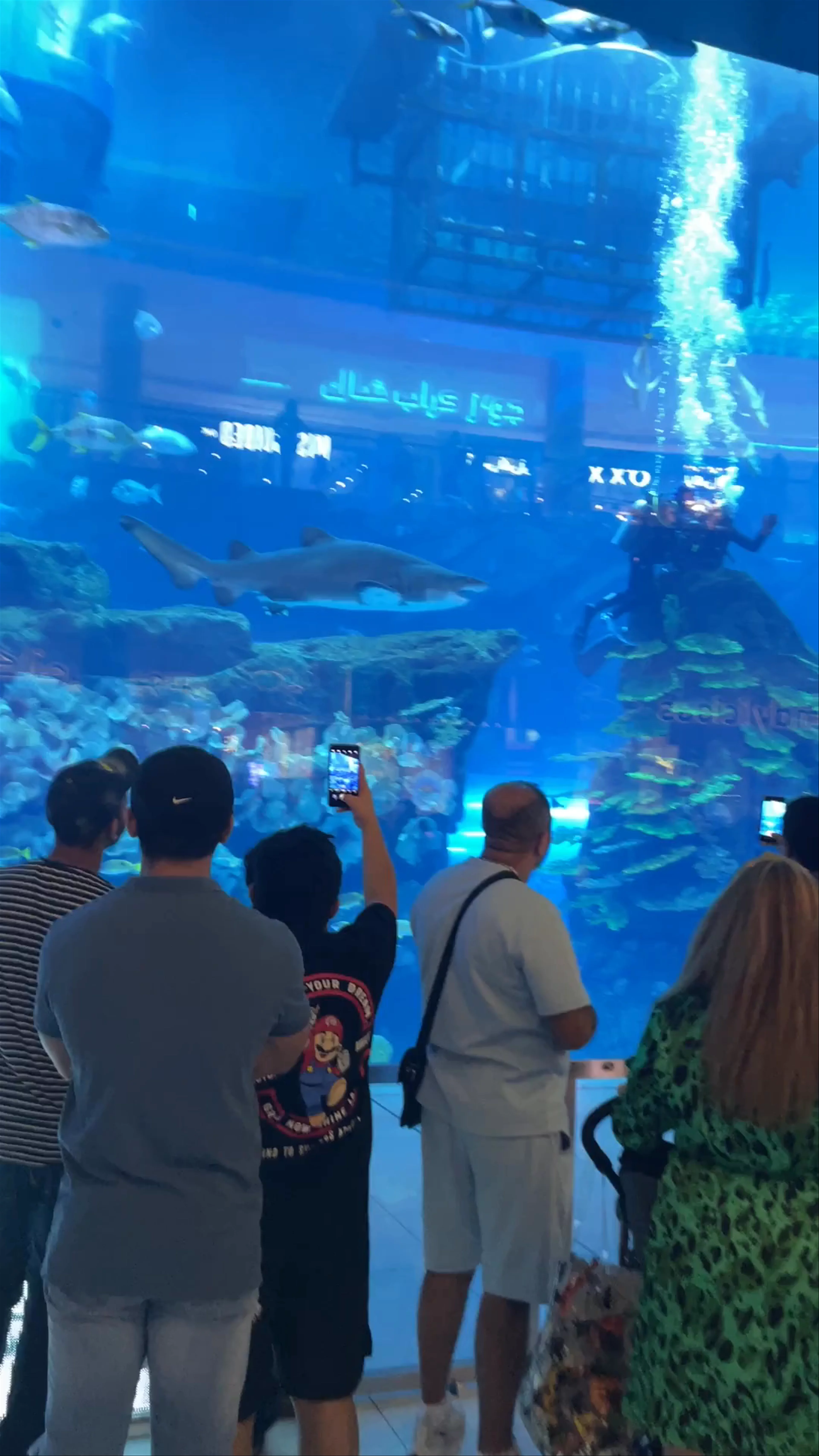 Dubai Aquarium & Underwater Zoo - شارع المركز المالي، - Dubai - United Arab Emirates