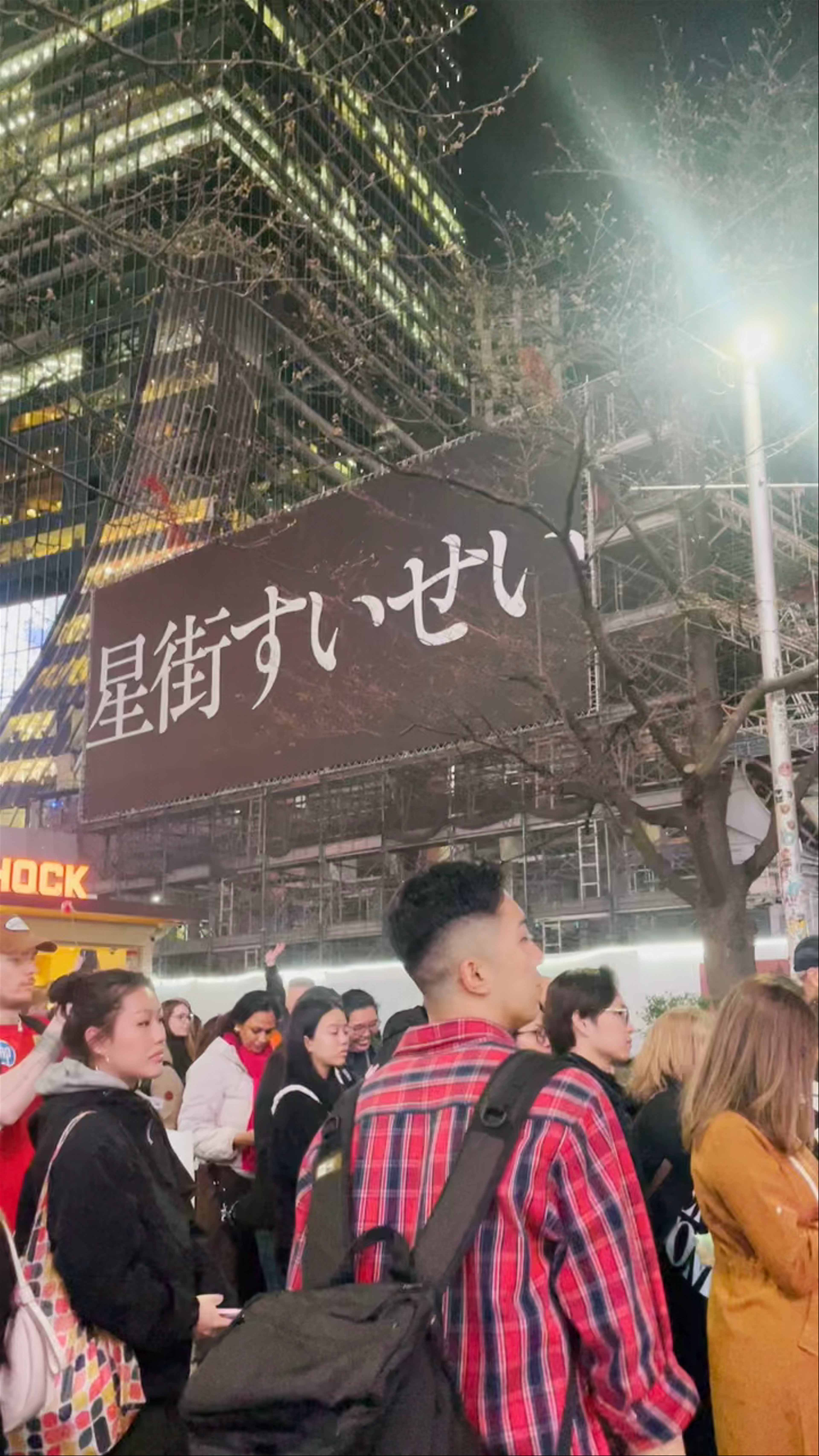 Shibuya Crossing