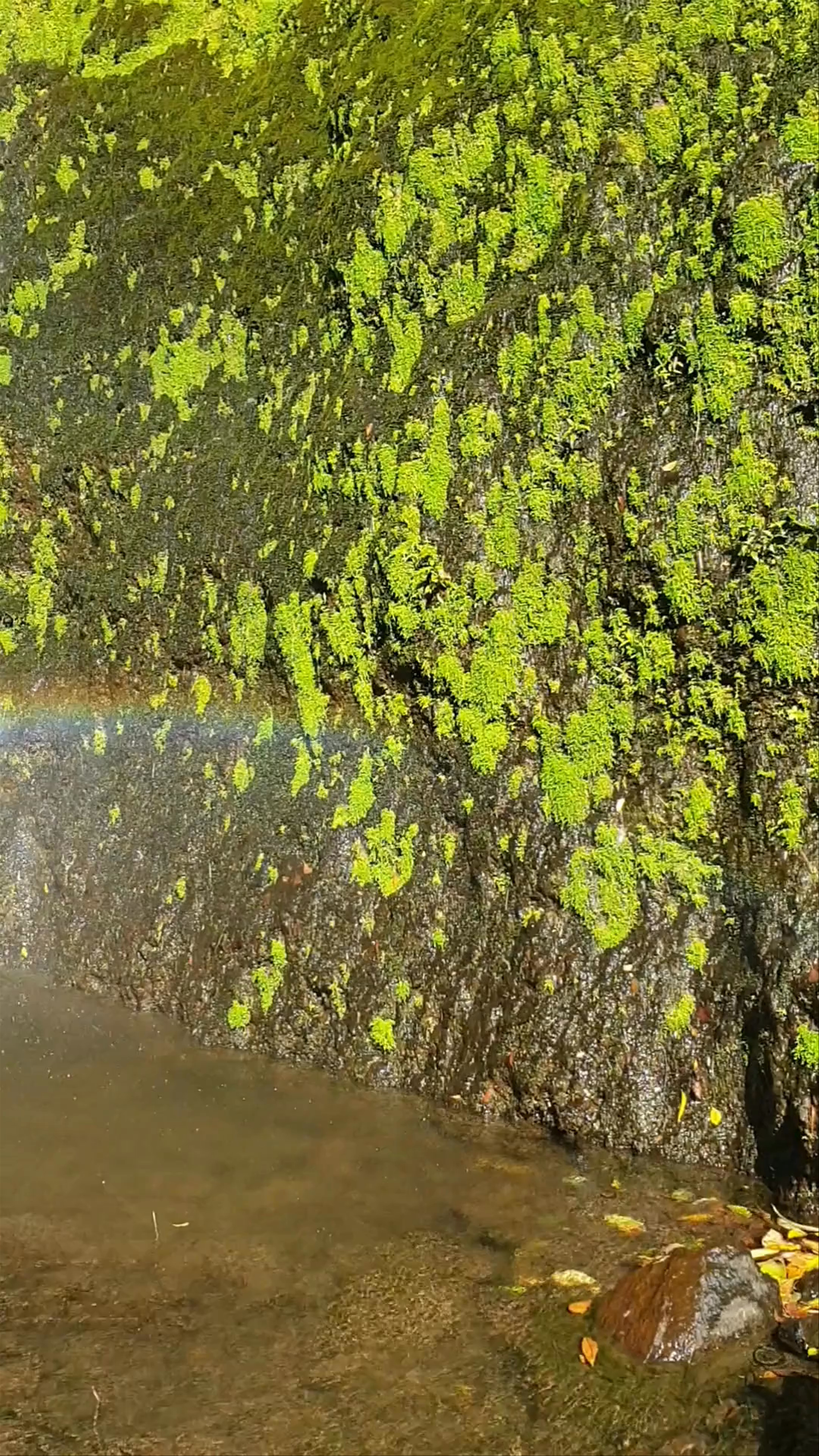 Waterfall of San Ramón