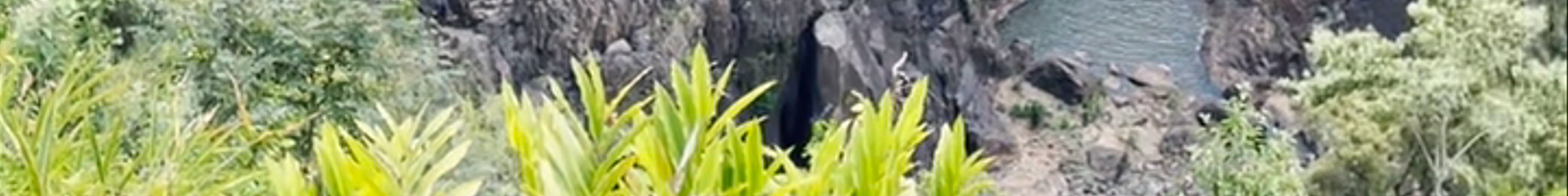 Tours & experiences in Cairns