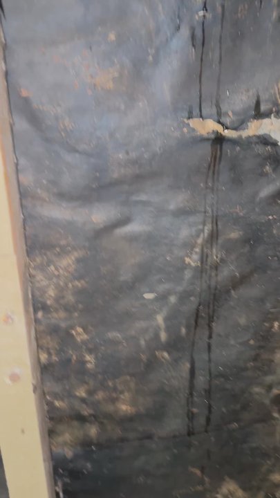 818 Inspections - Mark tried to throw the pest inspection under the bus - "did you rule out termites?" ‍ - Home Inspectors Near Me - Sacramento, California
