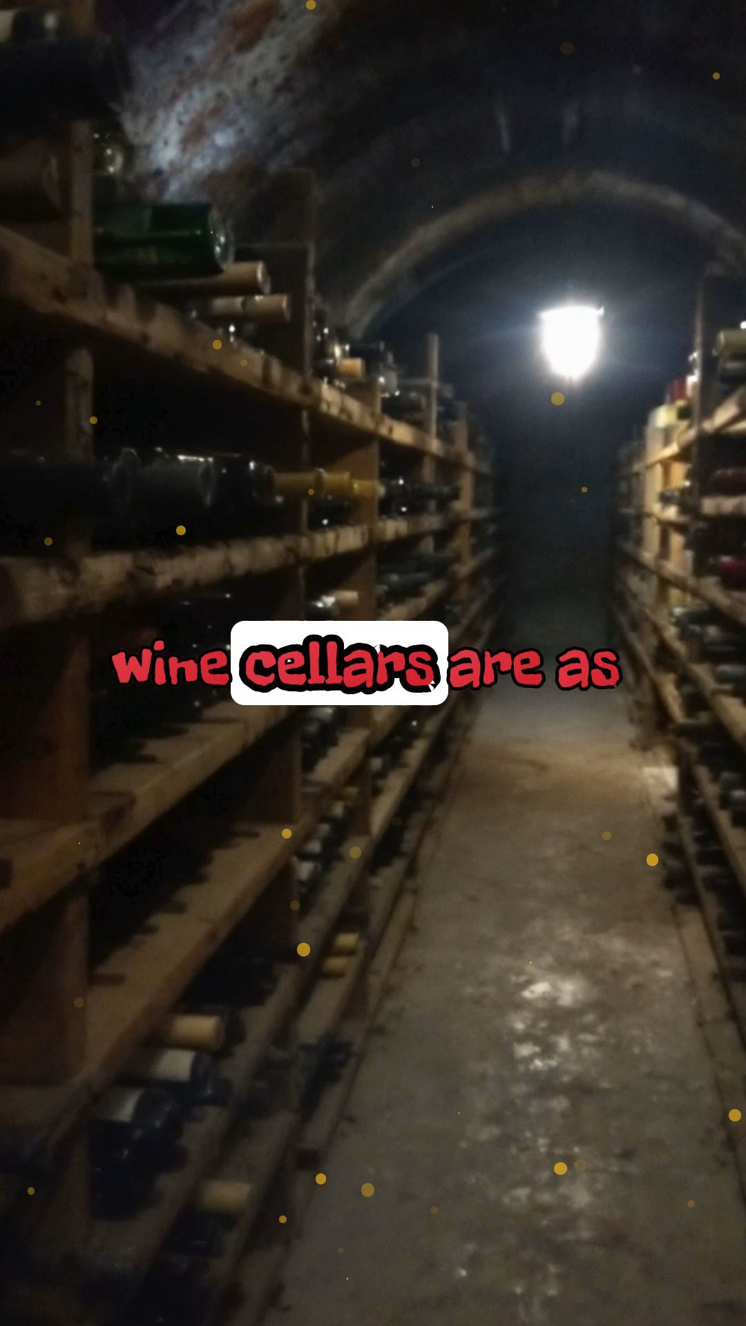 The Haunted Wine Cellar: Bottles with a Past