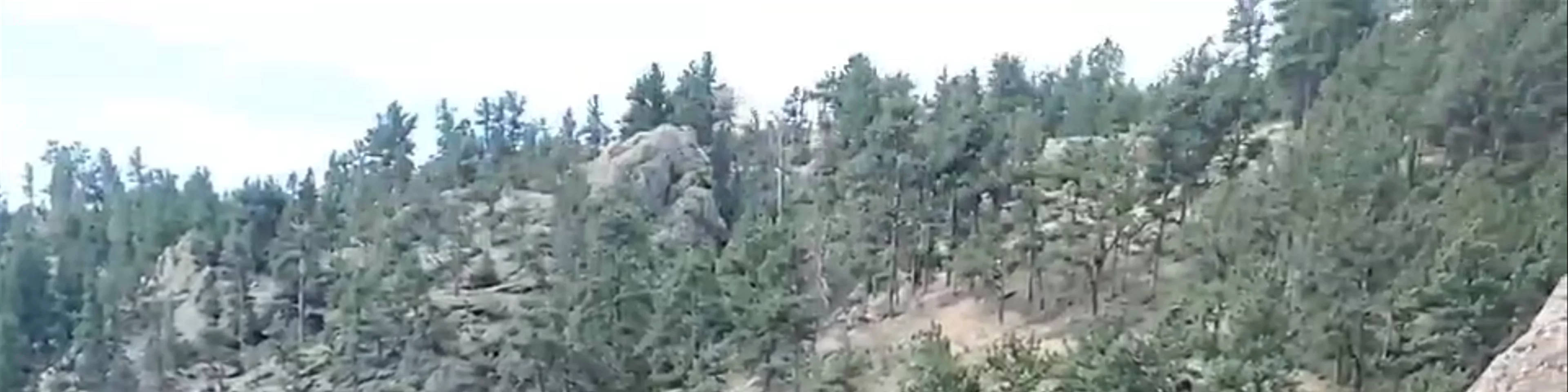 Horsetooth Falls Trail