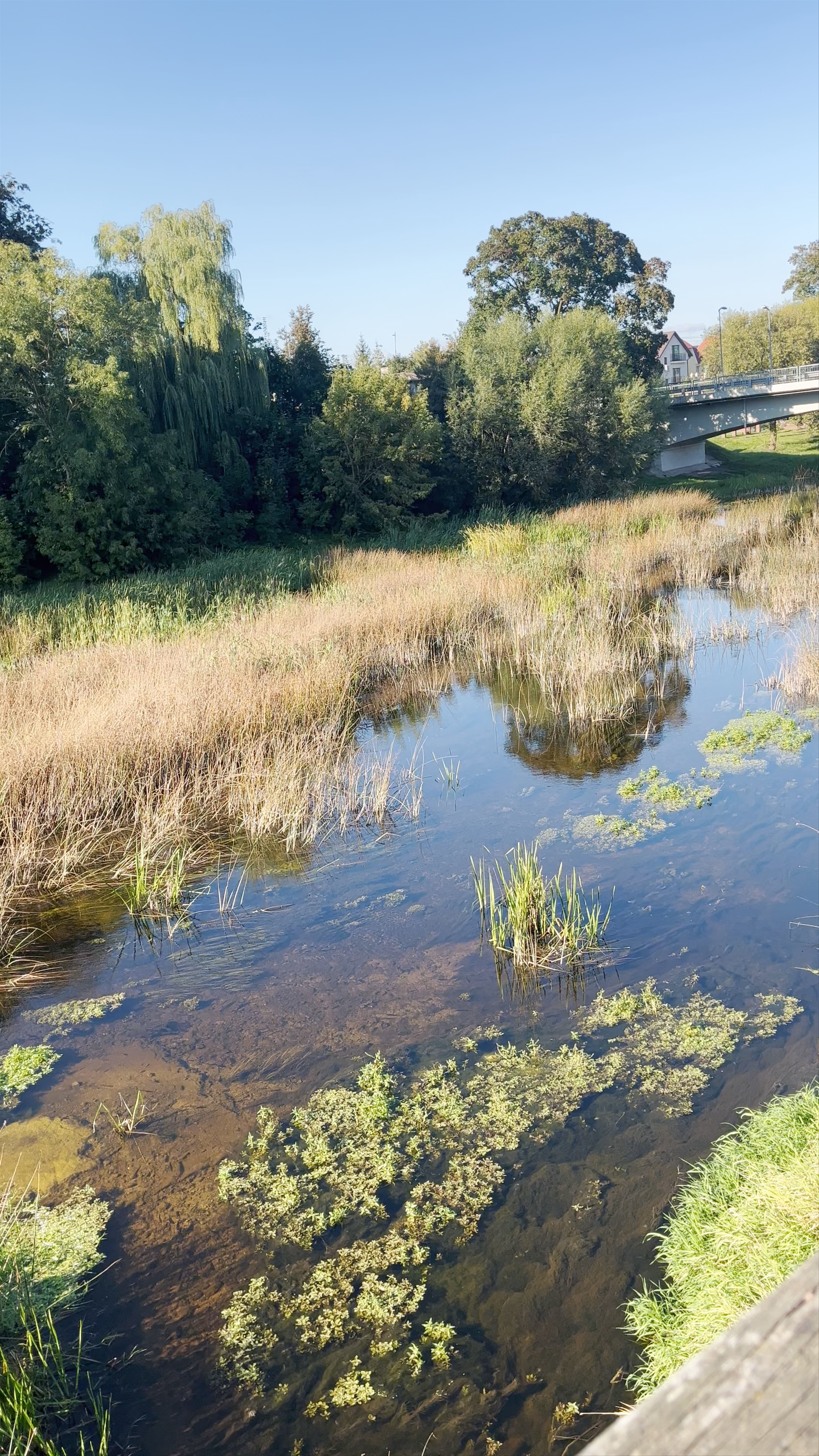Upės Slenkstis: A Serene River Escape in Pasvalys, Lithuania