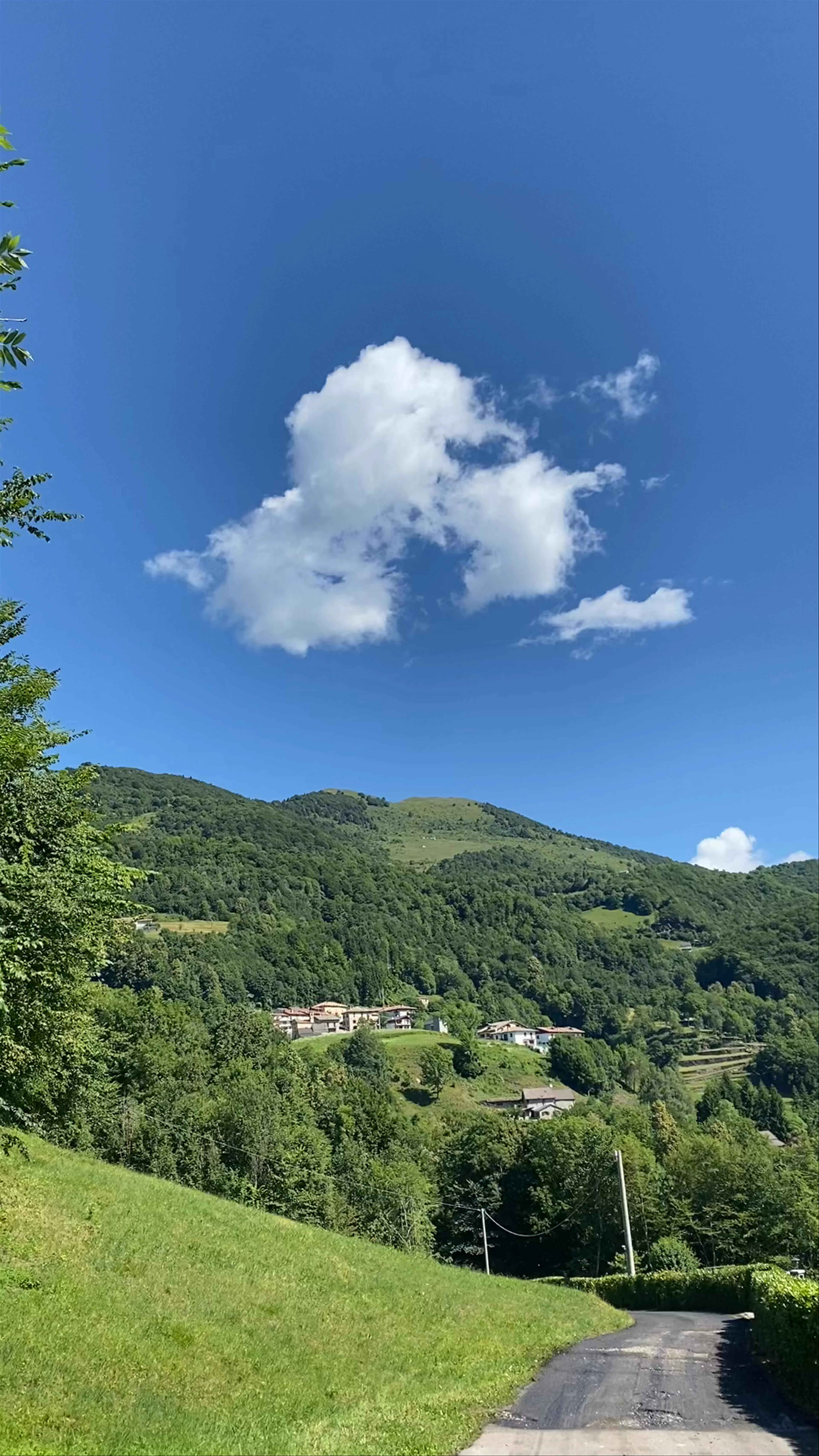 Frazione Pizzino, Taleggio