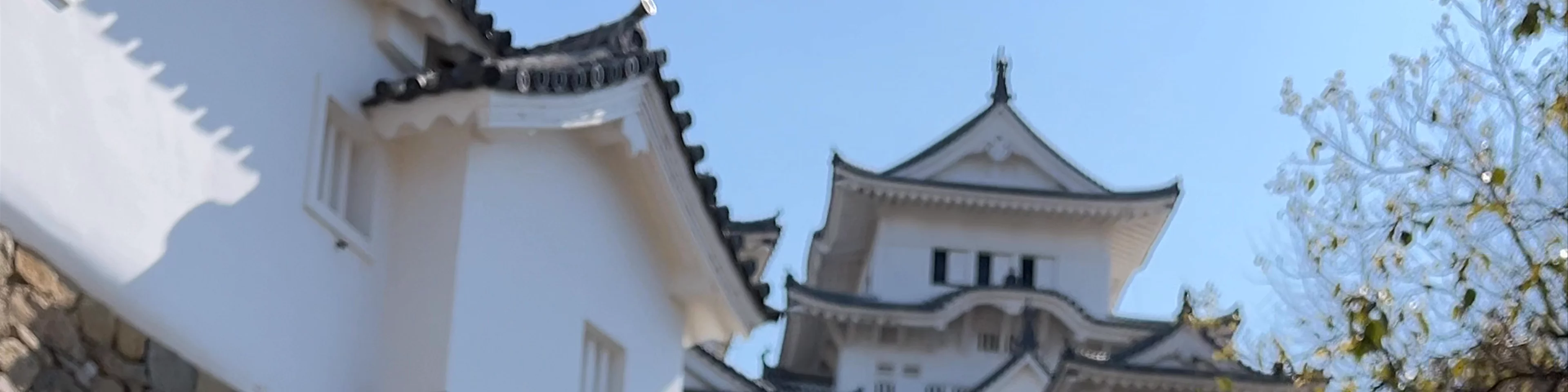 Himeji Castle Shogun Zaka Hill