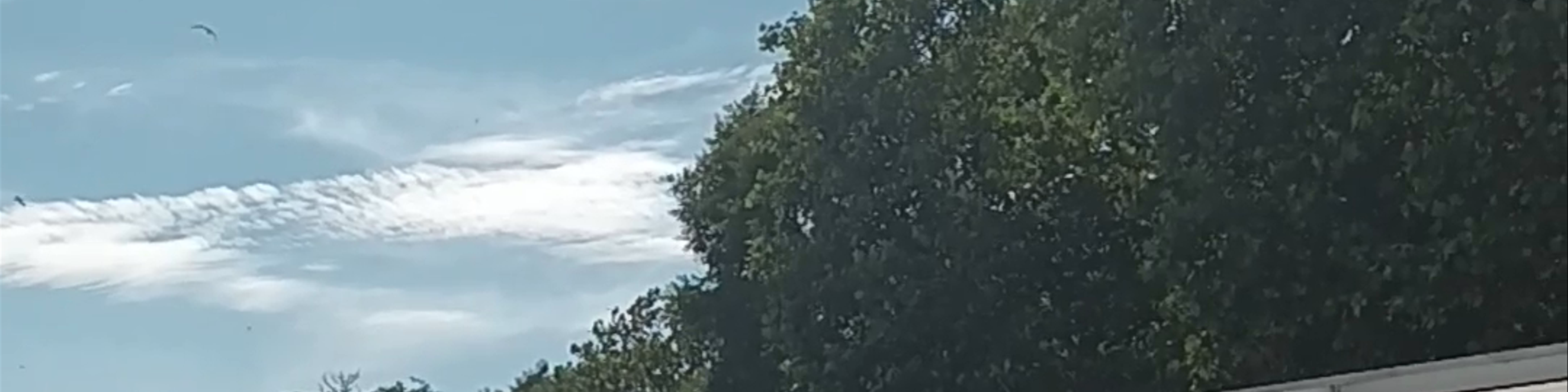 Varna