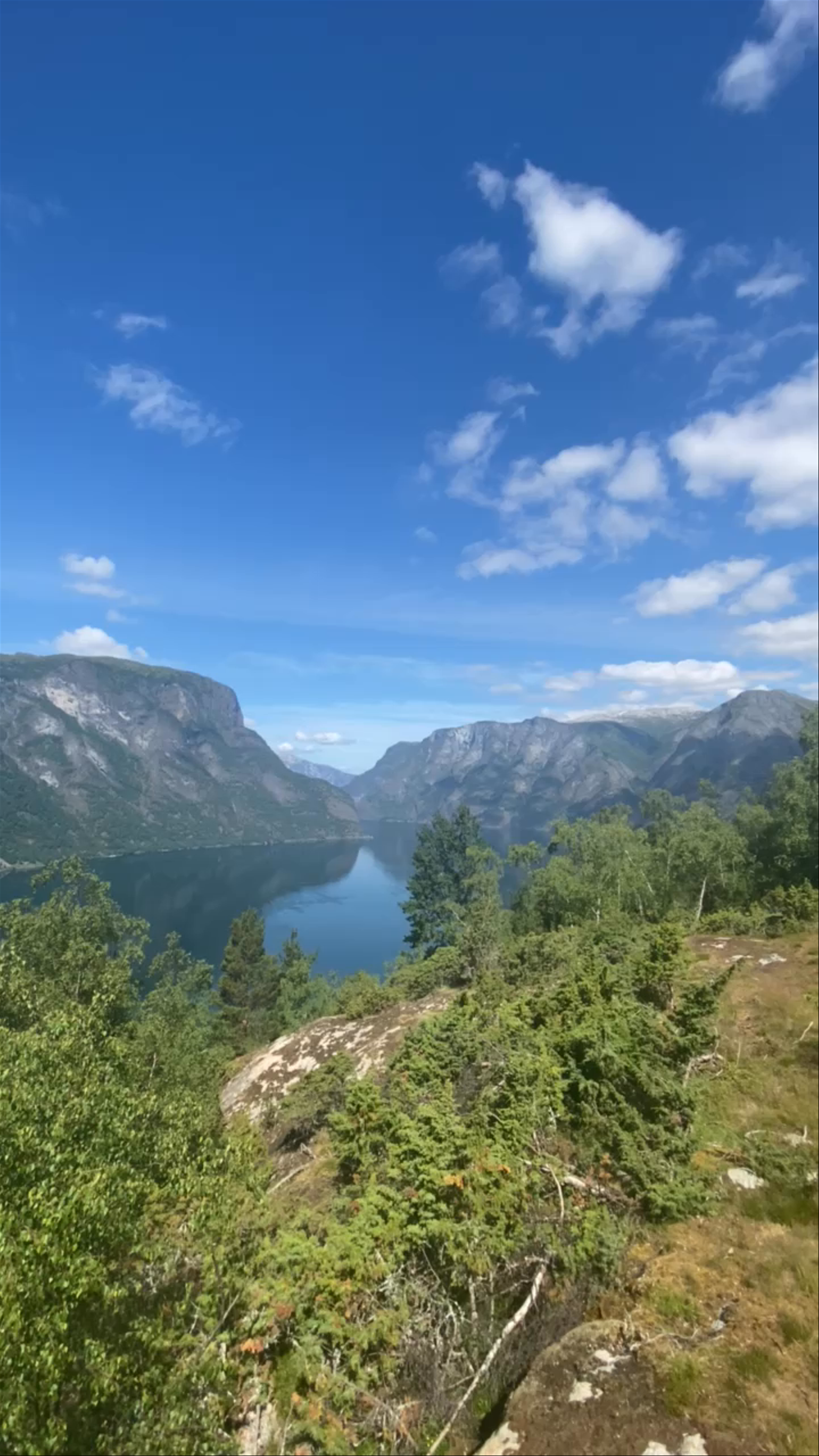 Dagsturhytta Vinjaåsenhytta - Aurland