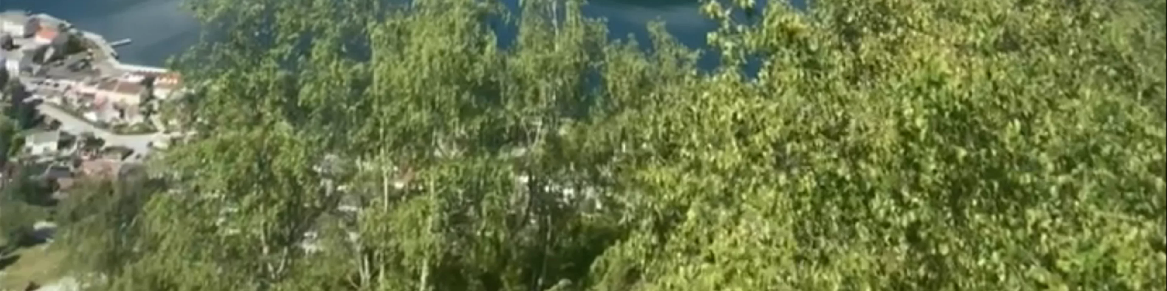 Dagsturhytta Vinjaåsenhytta - Aurland