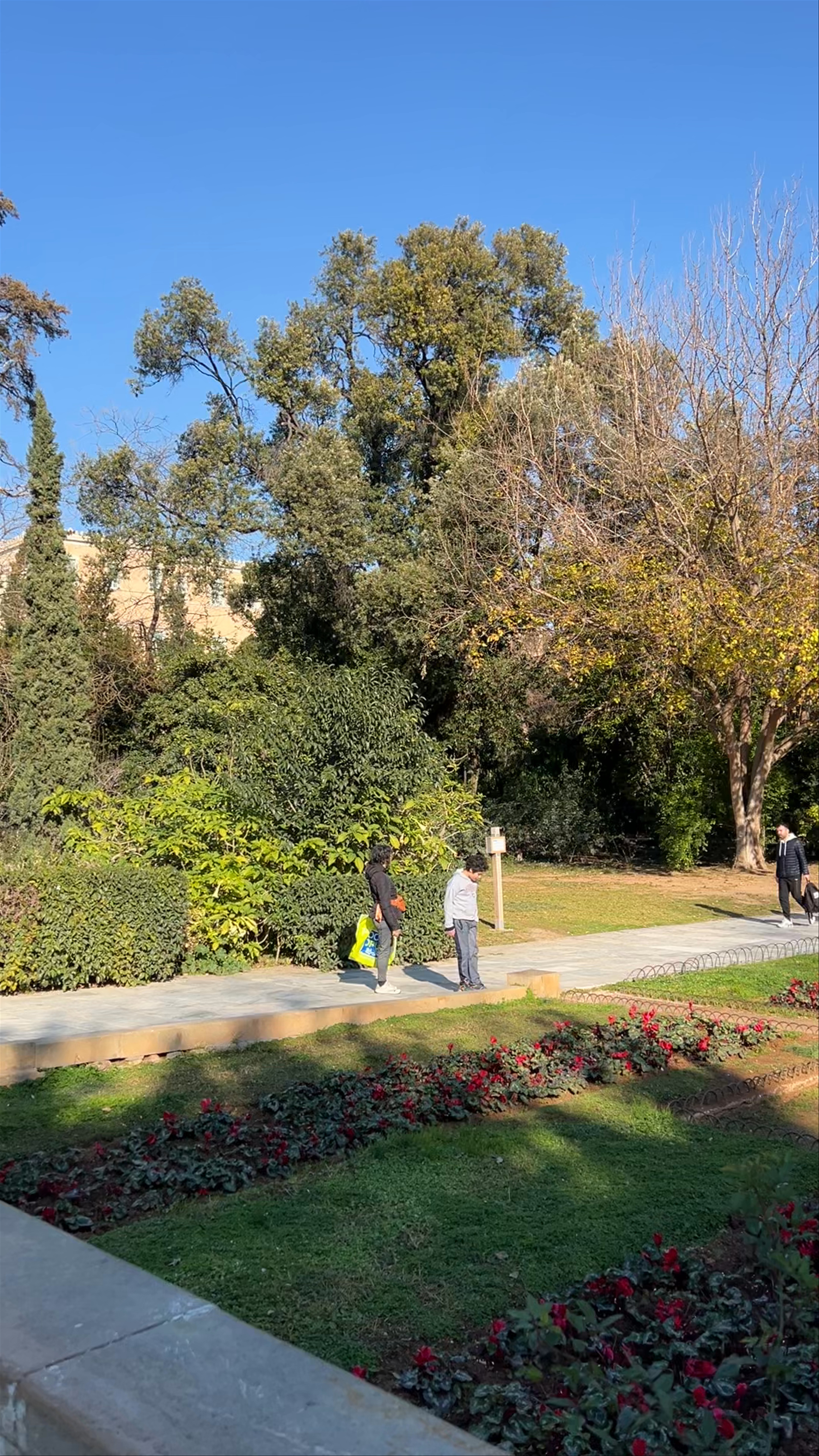 Εθνικός Κήπος: Serene Urban Oasis in the Heart of Athens