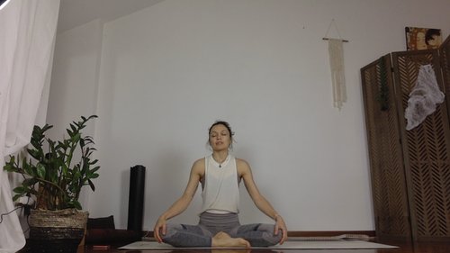 Vinyasa yoga flow - chiar pose transition 🍎