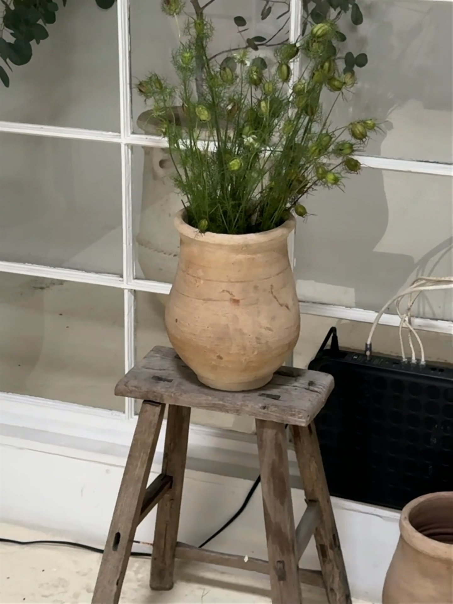 Egyptian Cream Planter
