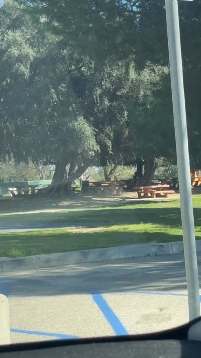 Mason Park - Picnic area - Parks Near Me - Chatsworth, California