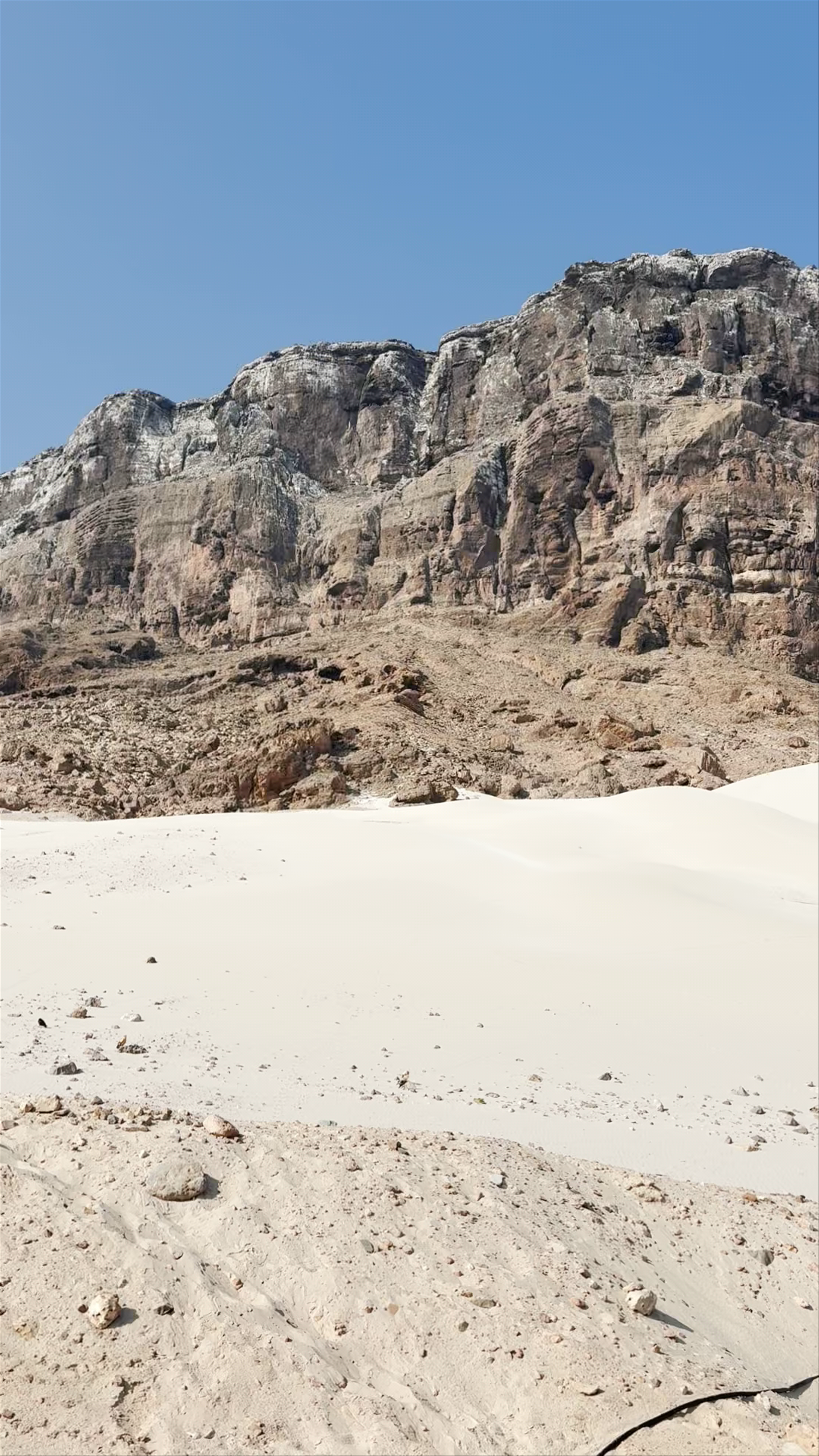 شاطئ موري - Murray Beach، Mori