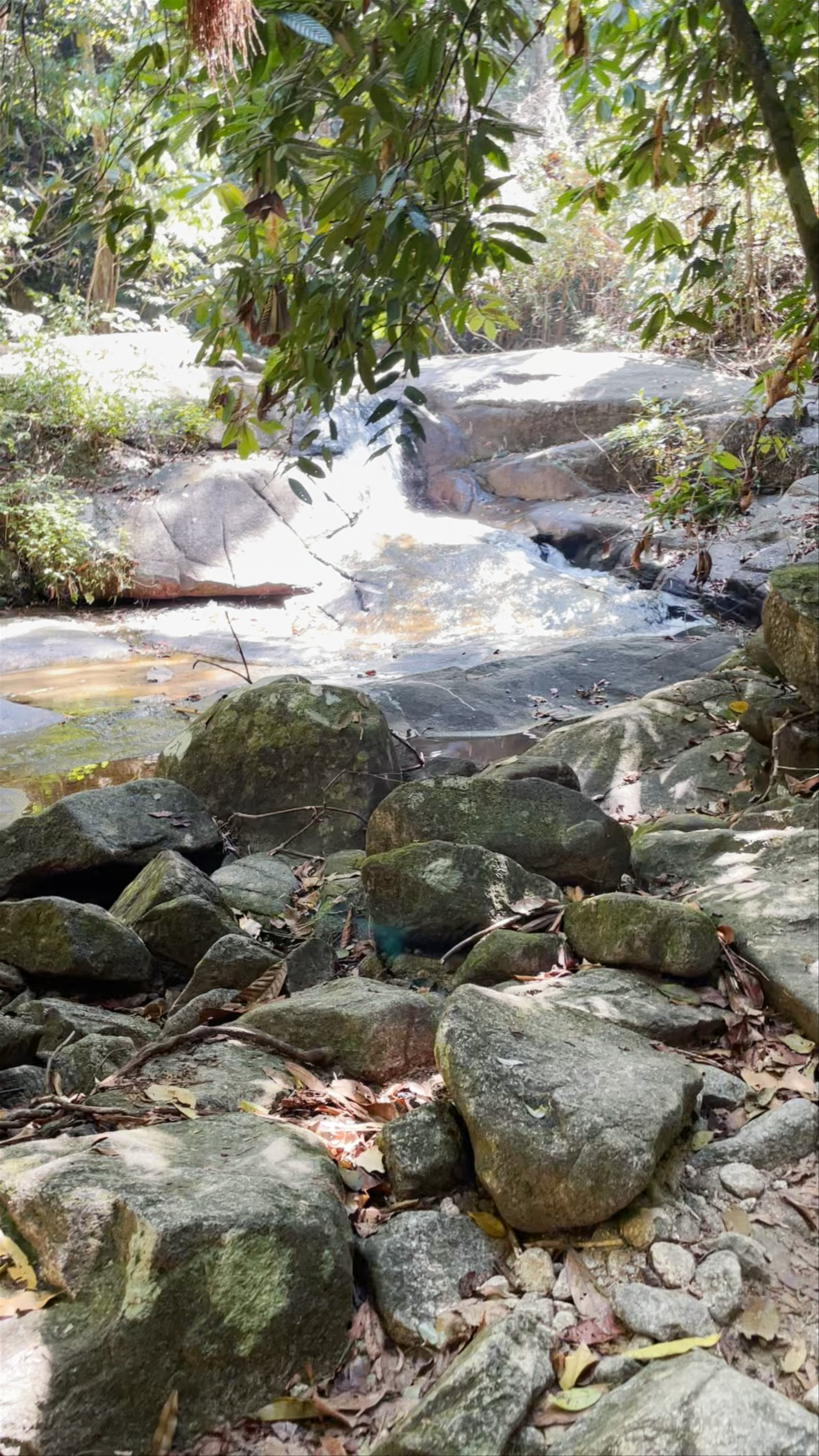 Ton Chong Fa Waterfall: Serene Tropical Escape in Takua Pa, Thailand