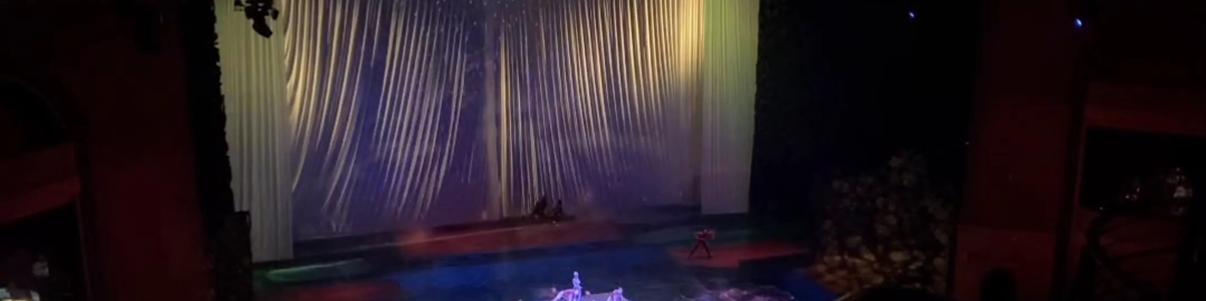 "O" by Cirque du Soleil