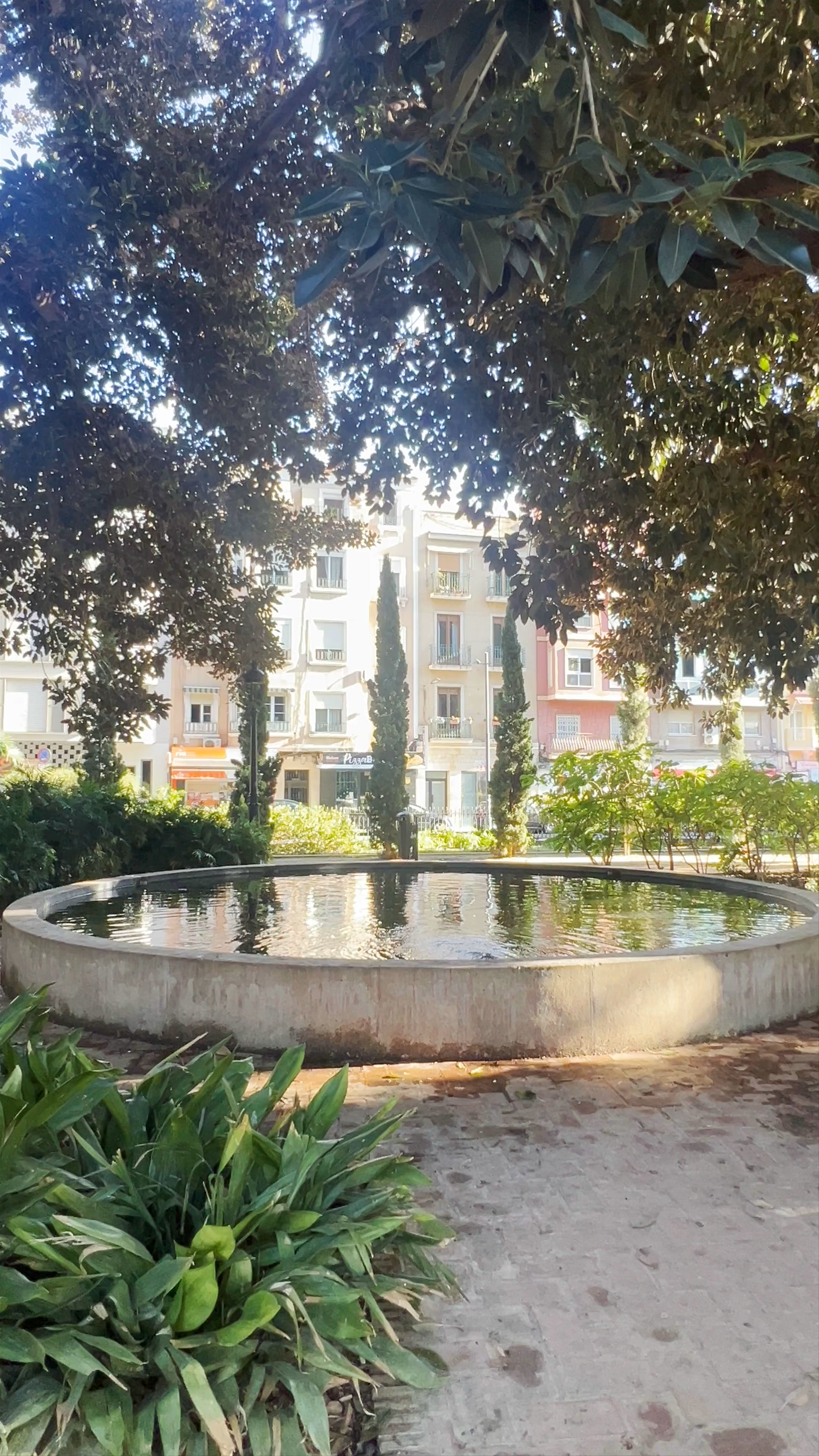 Sunlit Serenity at Jardín de Floridablanca in Murcia