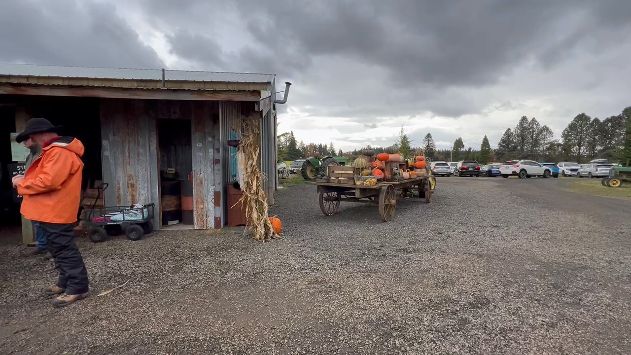 Dolan Creek Farm - Pumpkin Patches Near Me - Boring, Oregon