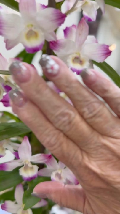 Sunset Nails - Nail Salons Near Me - Mesa, Arizona