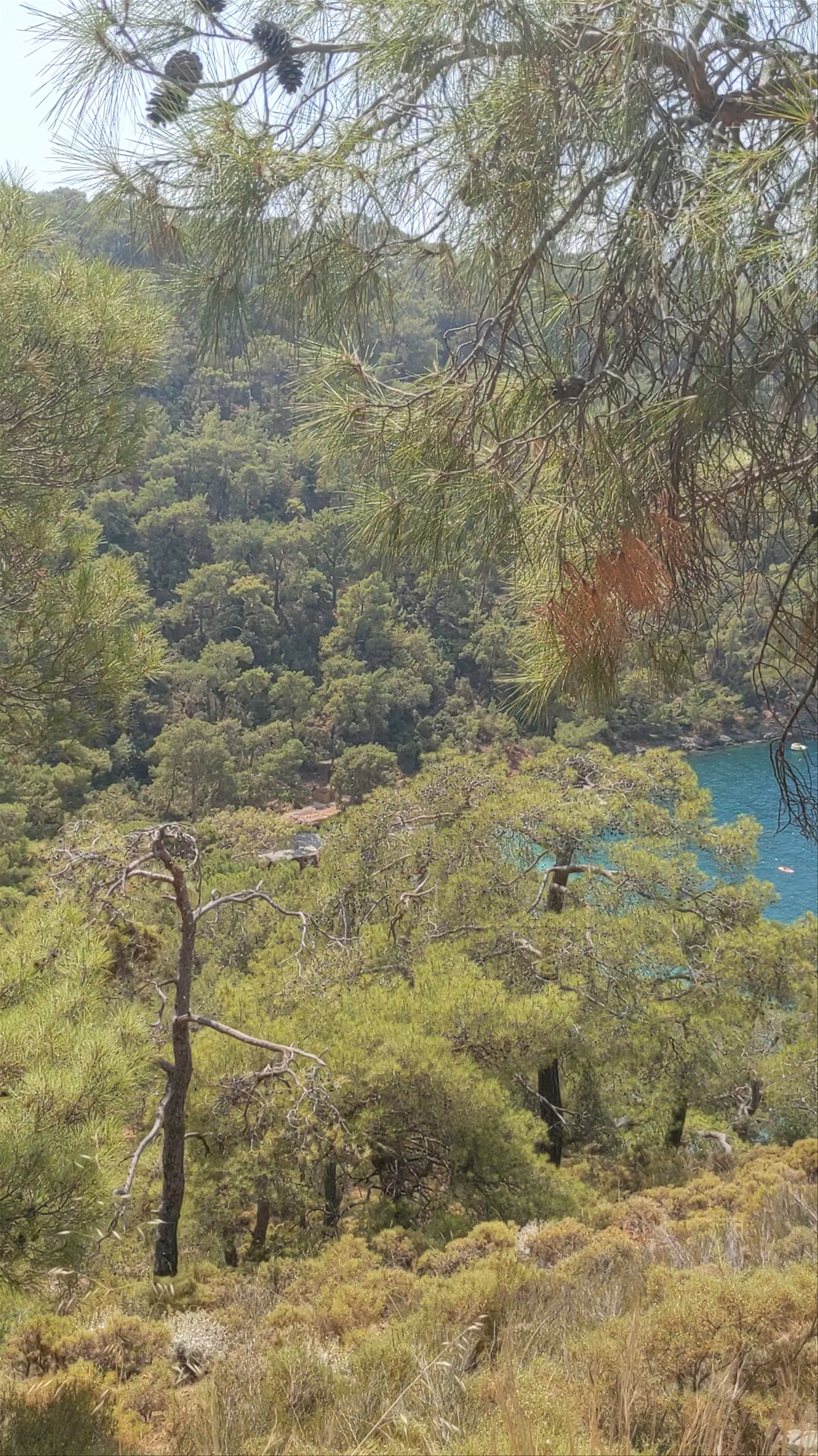 Breathtaking Coastal Hike in Karagözler, Fethiye, Turkey