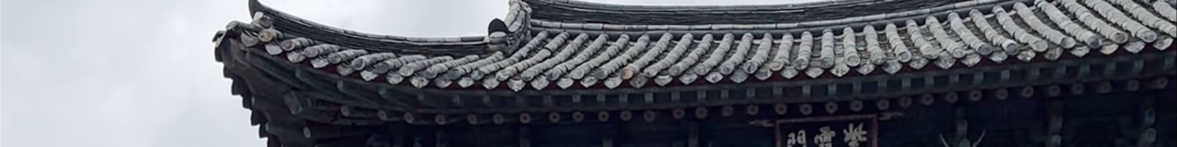 Tours & experiences in Ulsan