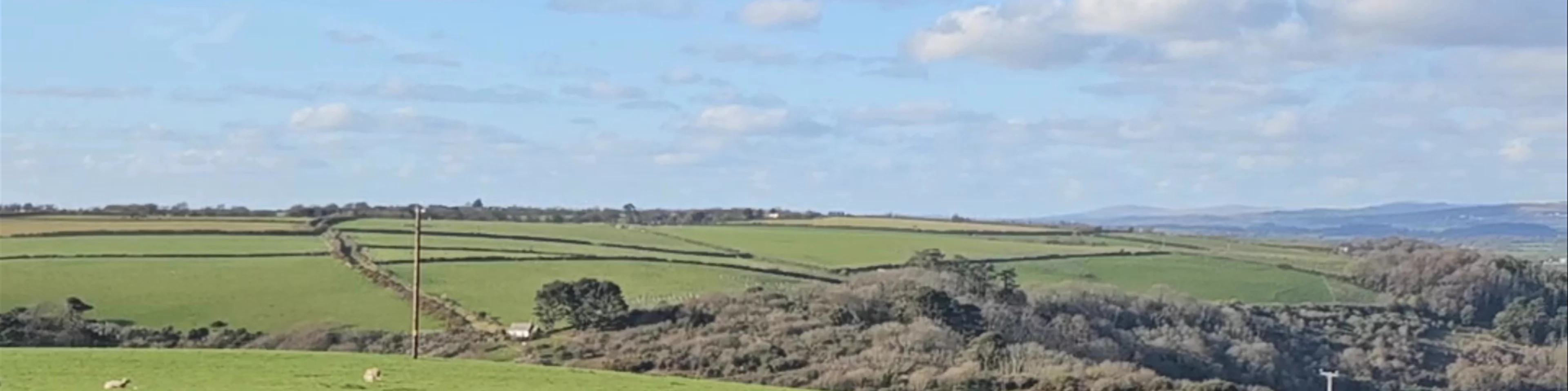 Worswell Barton Farm