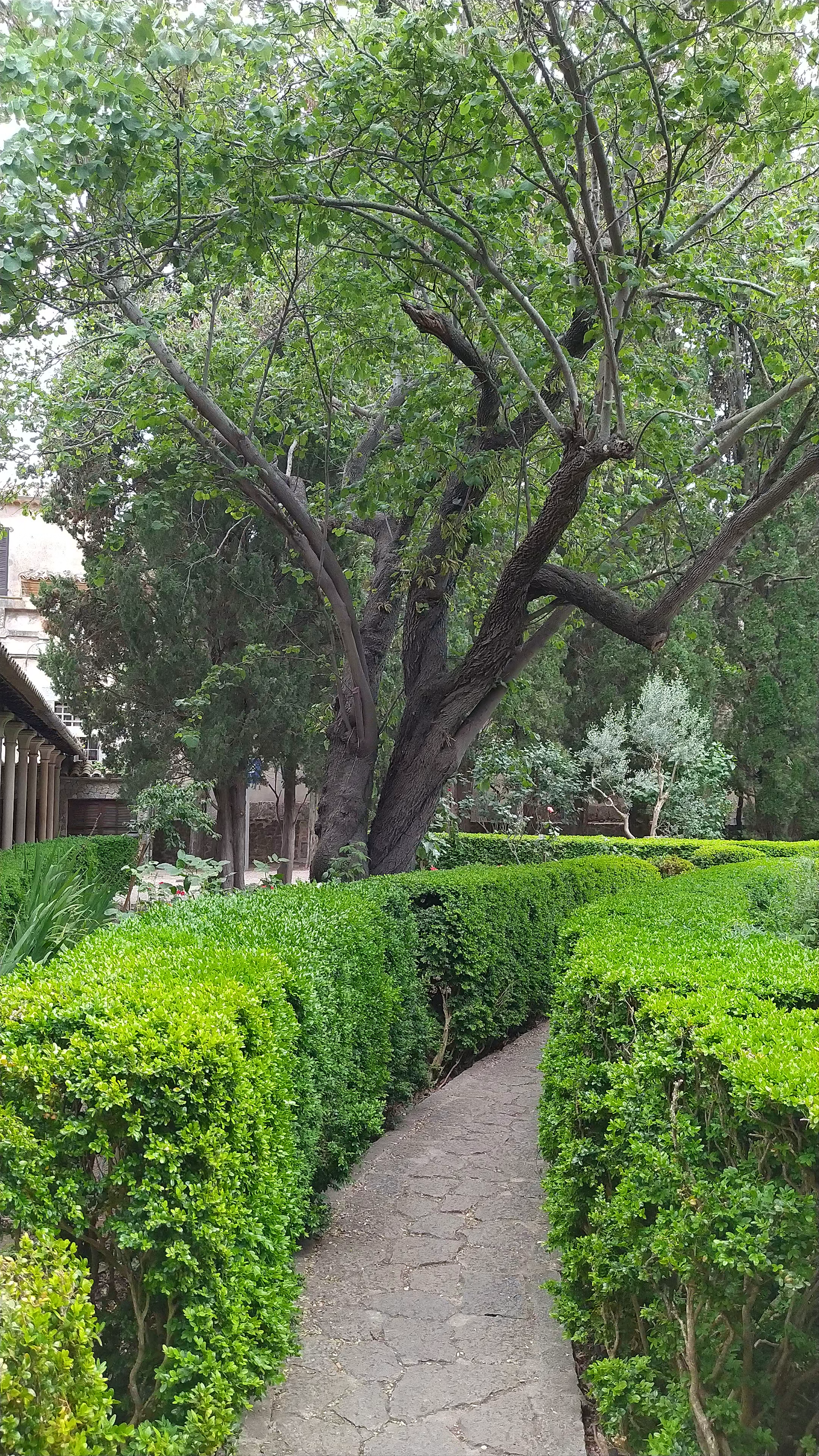 Jardins Rei Joan Carles: Lush Garden Serenity in Valldemossa, Spain