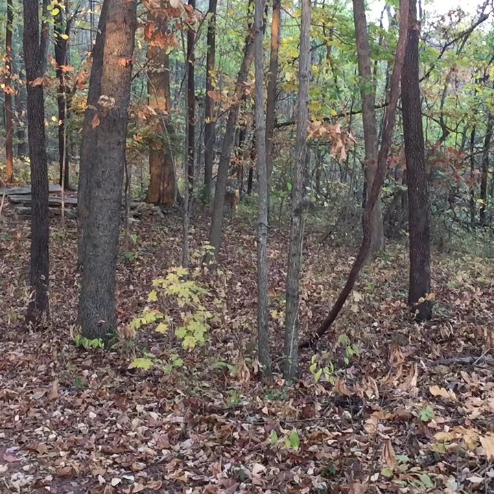 Maury County Park - Parks Near Me - Columbia, Tennessee