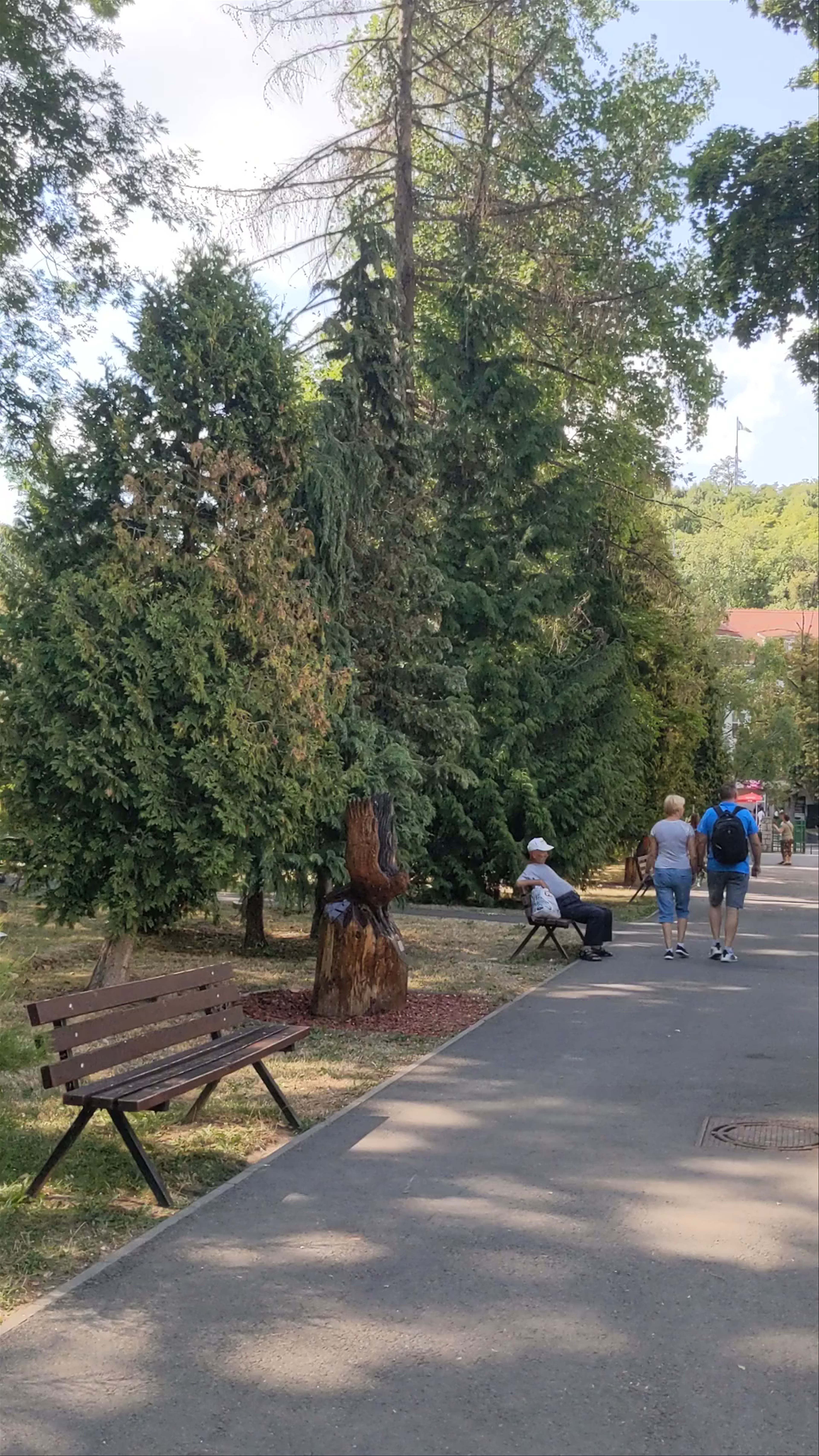 Poarta Ecaterinei: Historic Gateway and Serene Walks in Brașov