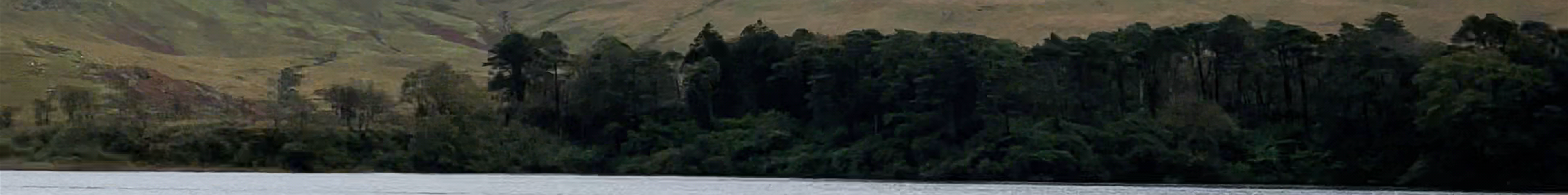 Tours & experiences in Clifden