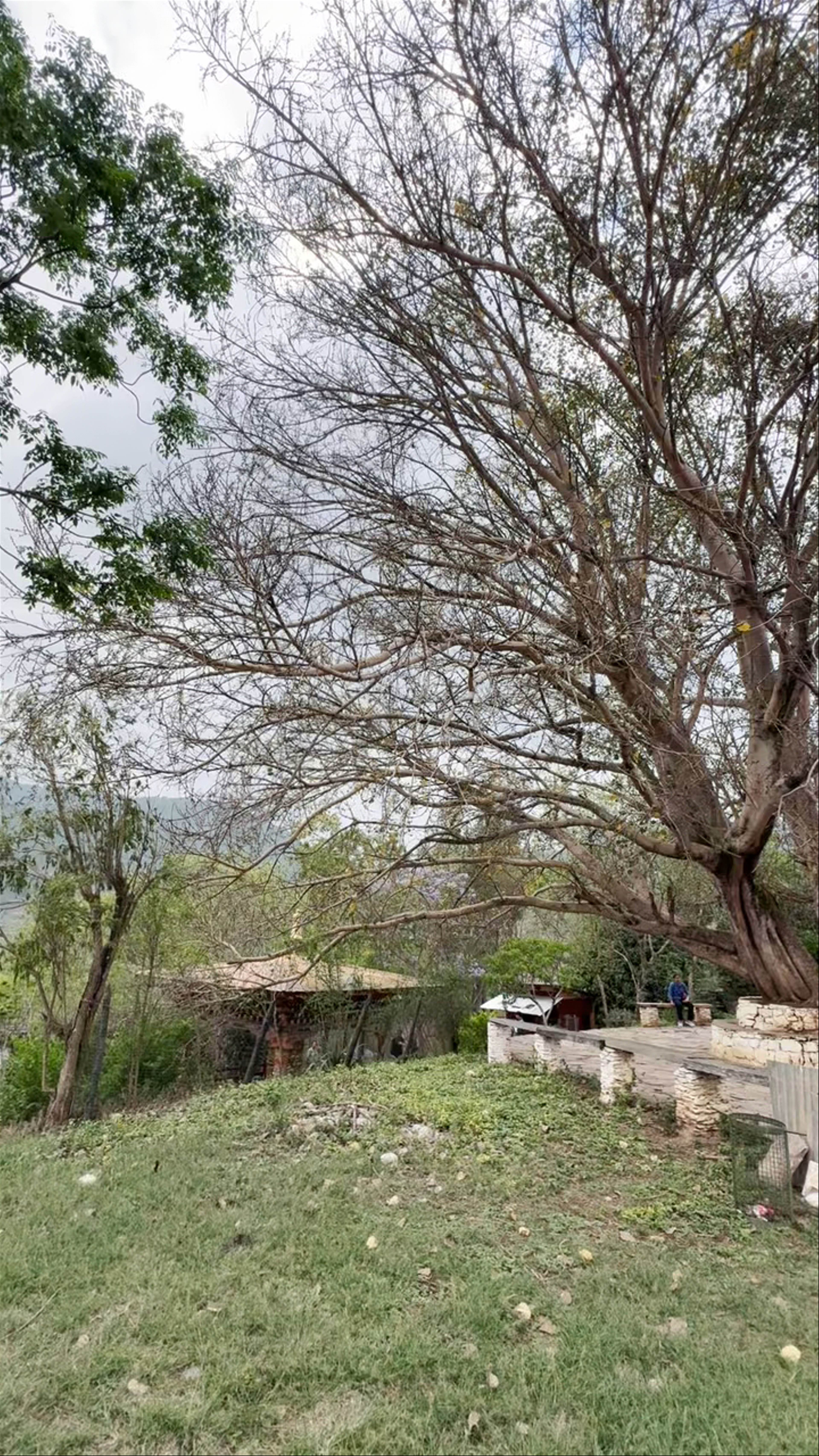 Chimi Lhakhang