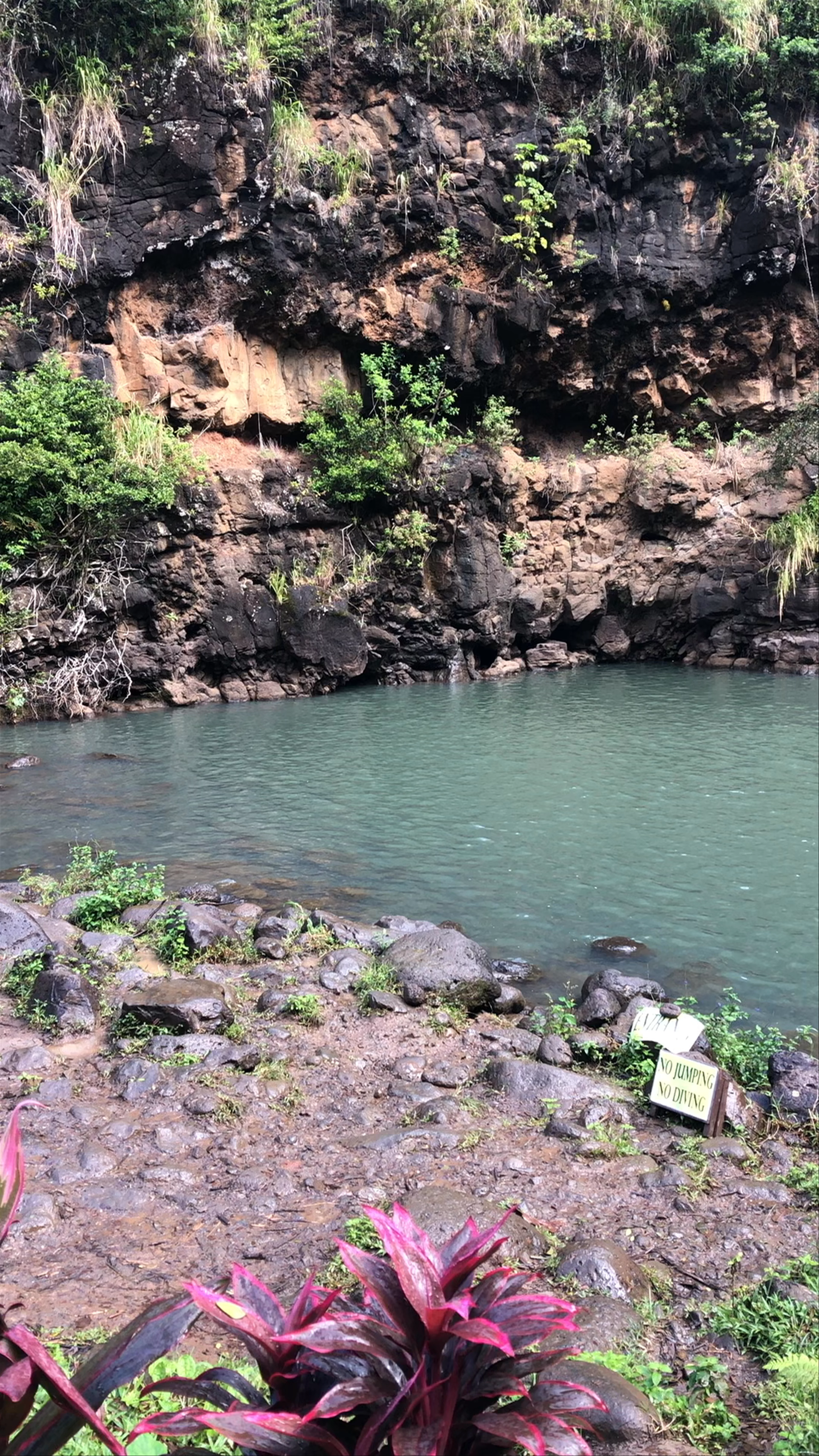 Waimea Valley