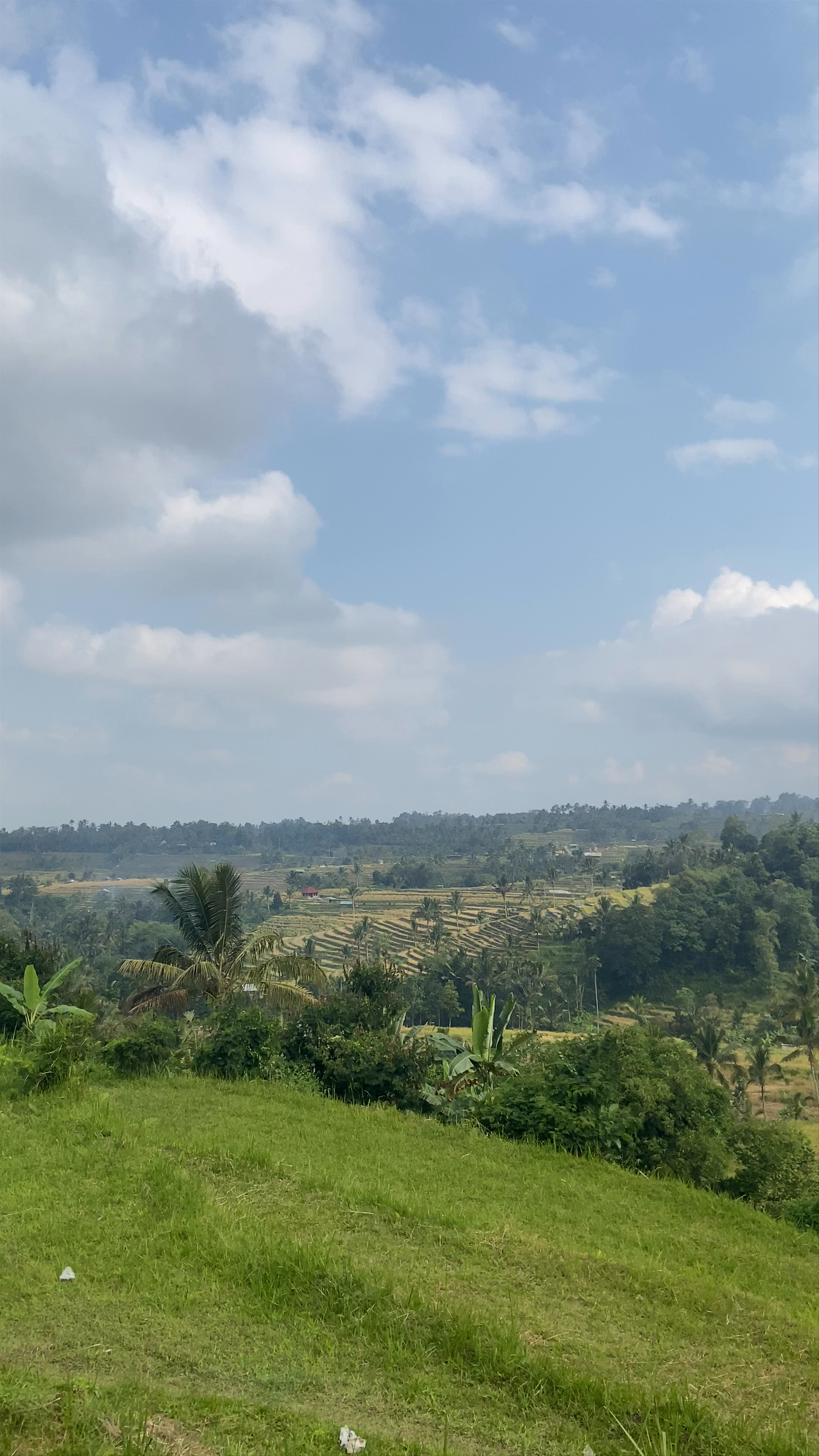 Jatiluwih Rice Terraces: Majestic Green Waves of Bali