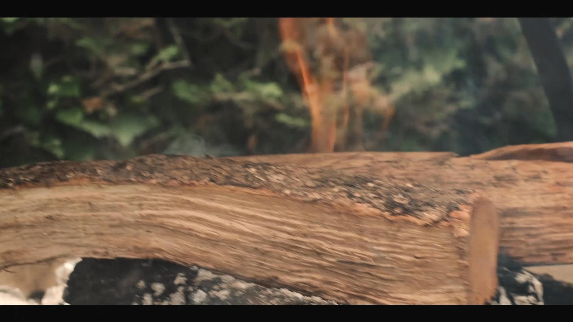 Portfolio clip by Sebastian F., Barcelona videographer