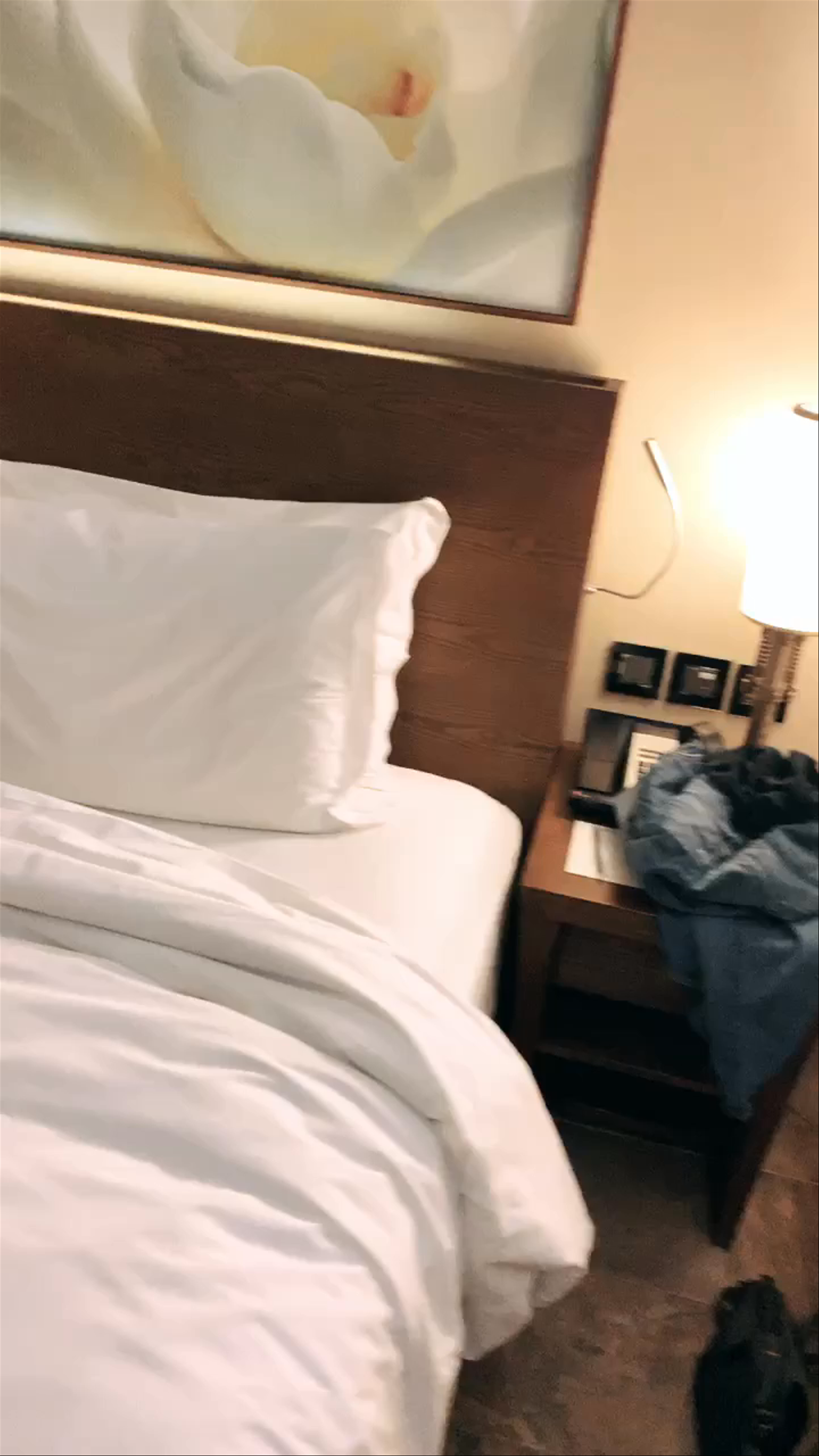 Sofitel Dubai The Palm