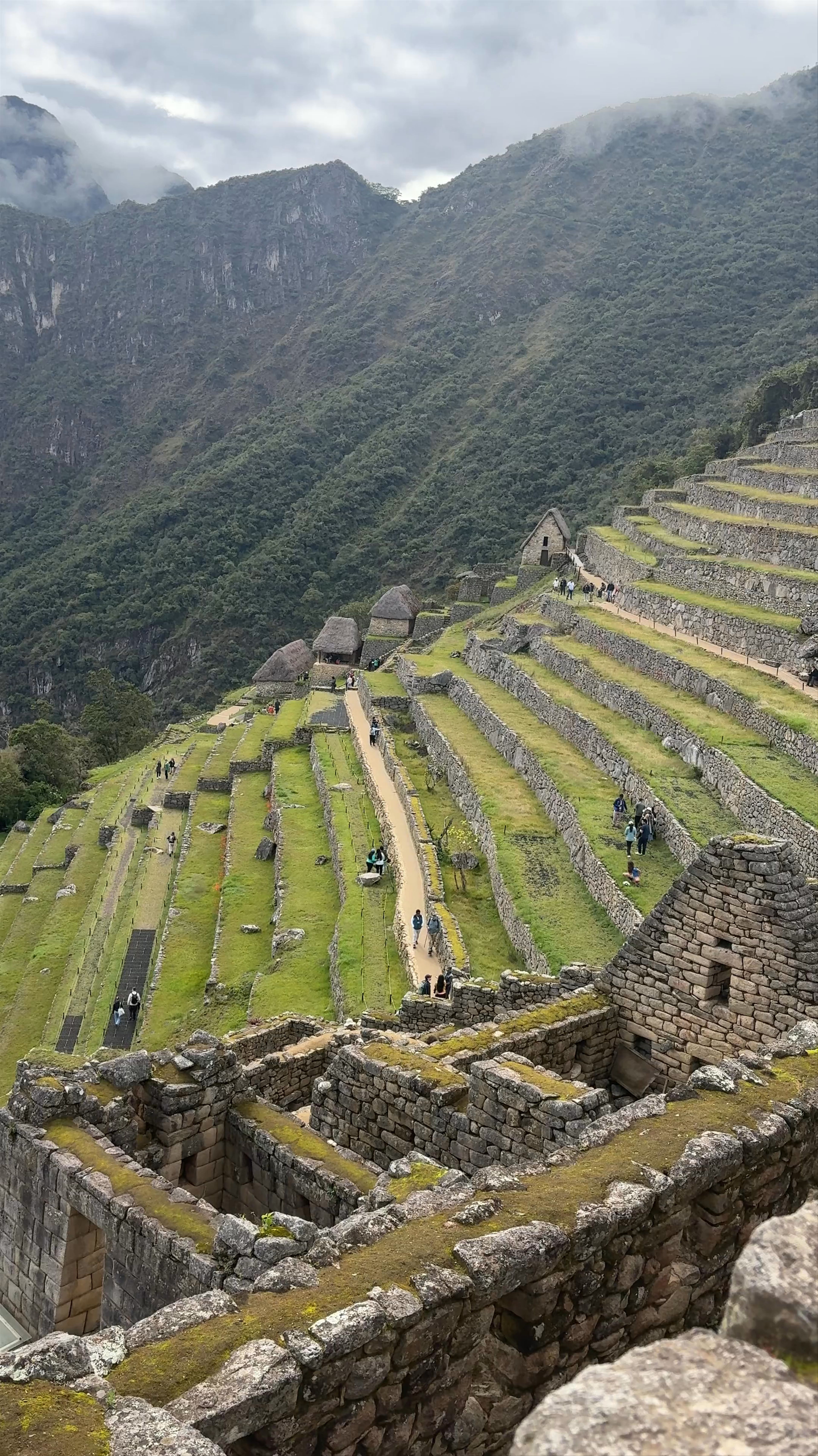 Machu Picchu Terraces