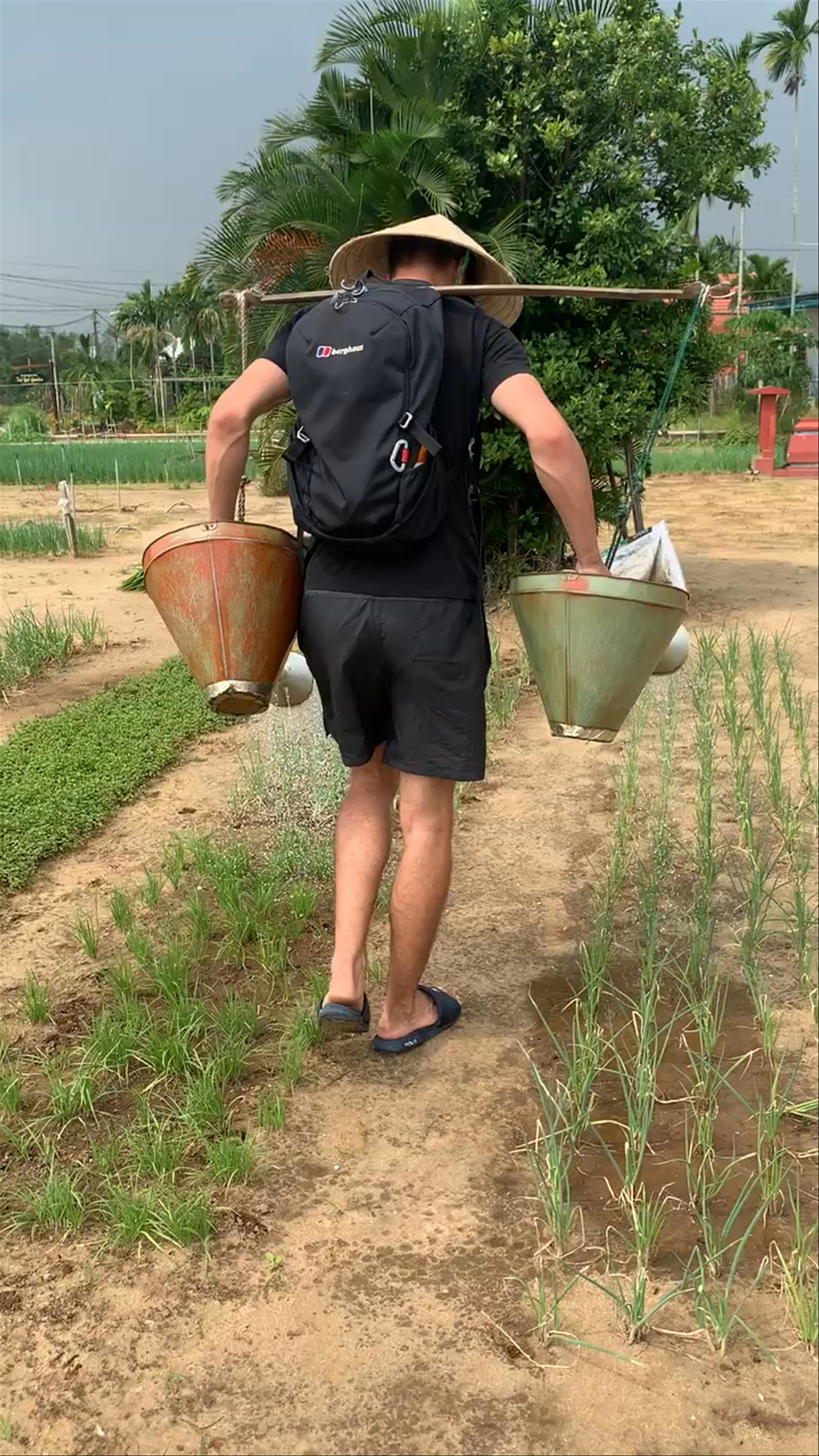 Trà Quế Vegetable Village