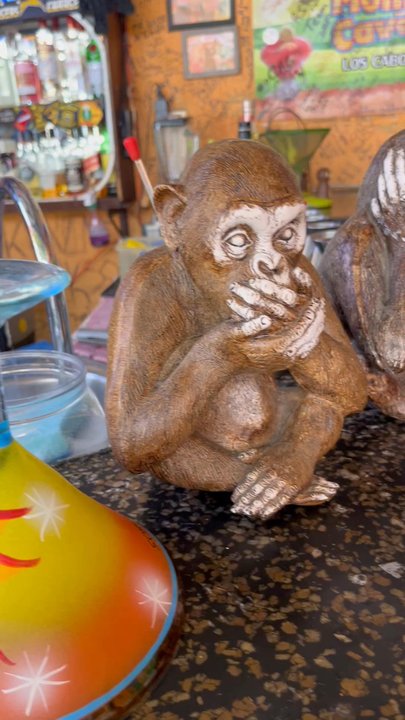 Monkey Business Bar - Speak no evil hear no evil see no evil - Bars Near Me - Cabo San Lucas, BCS