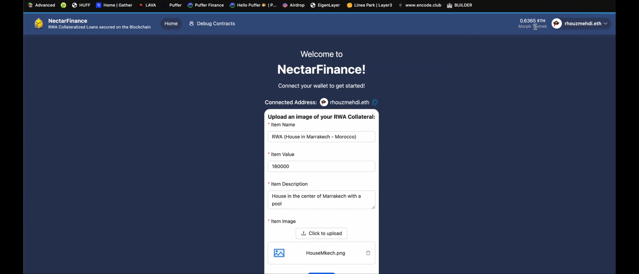 NectarFinance video demo