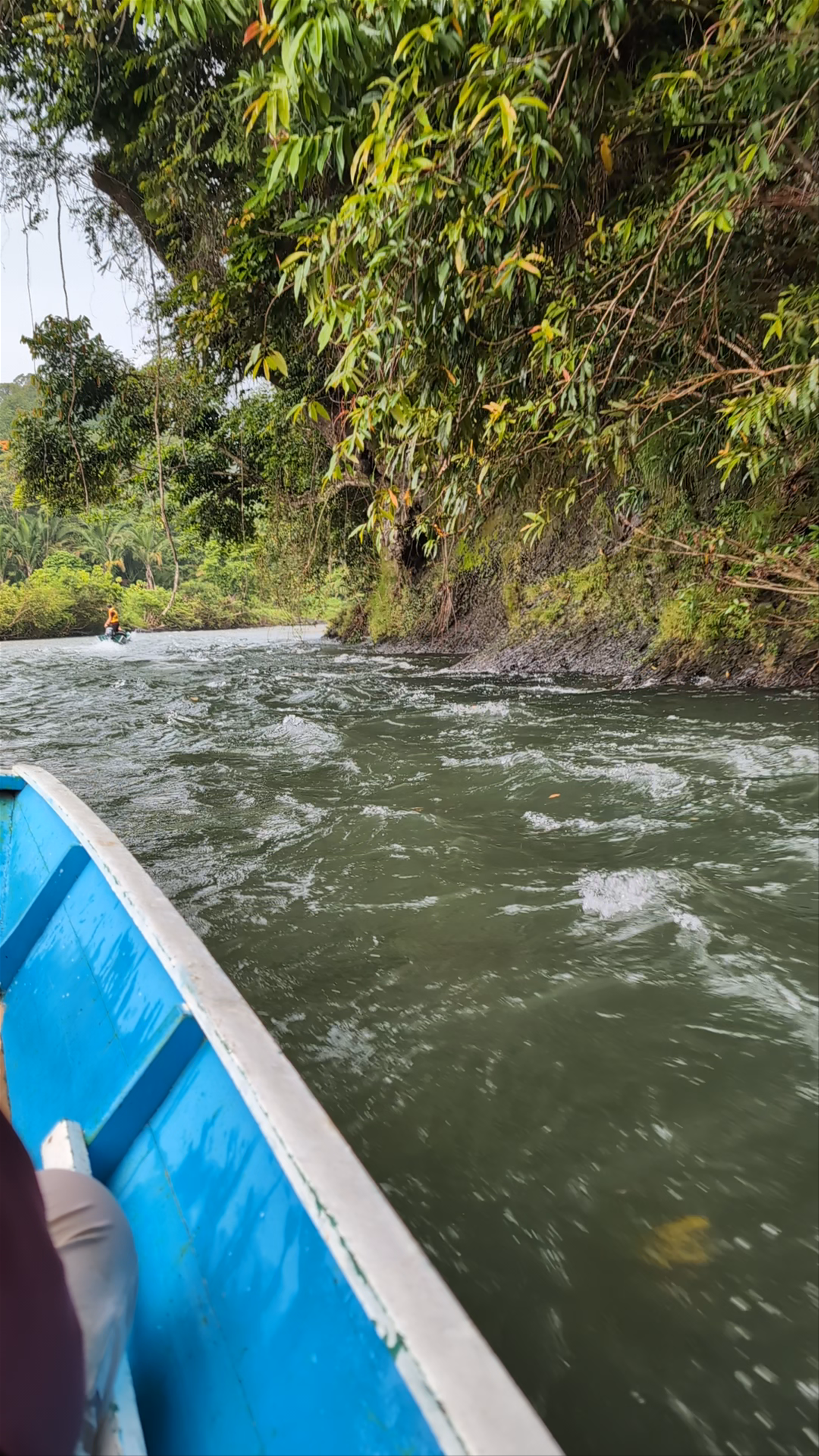 Ulu Temburong National Park