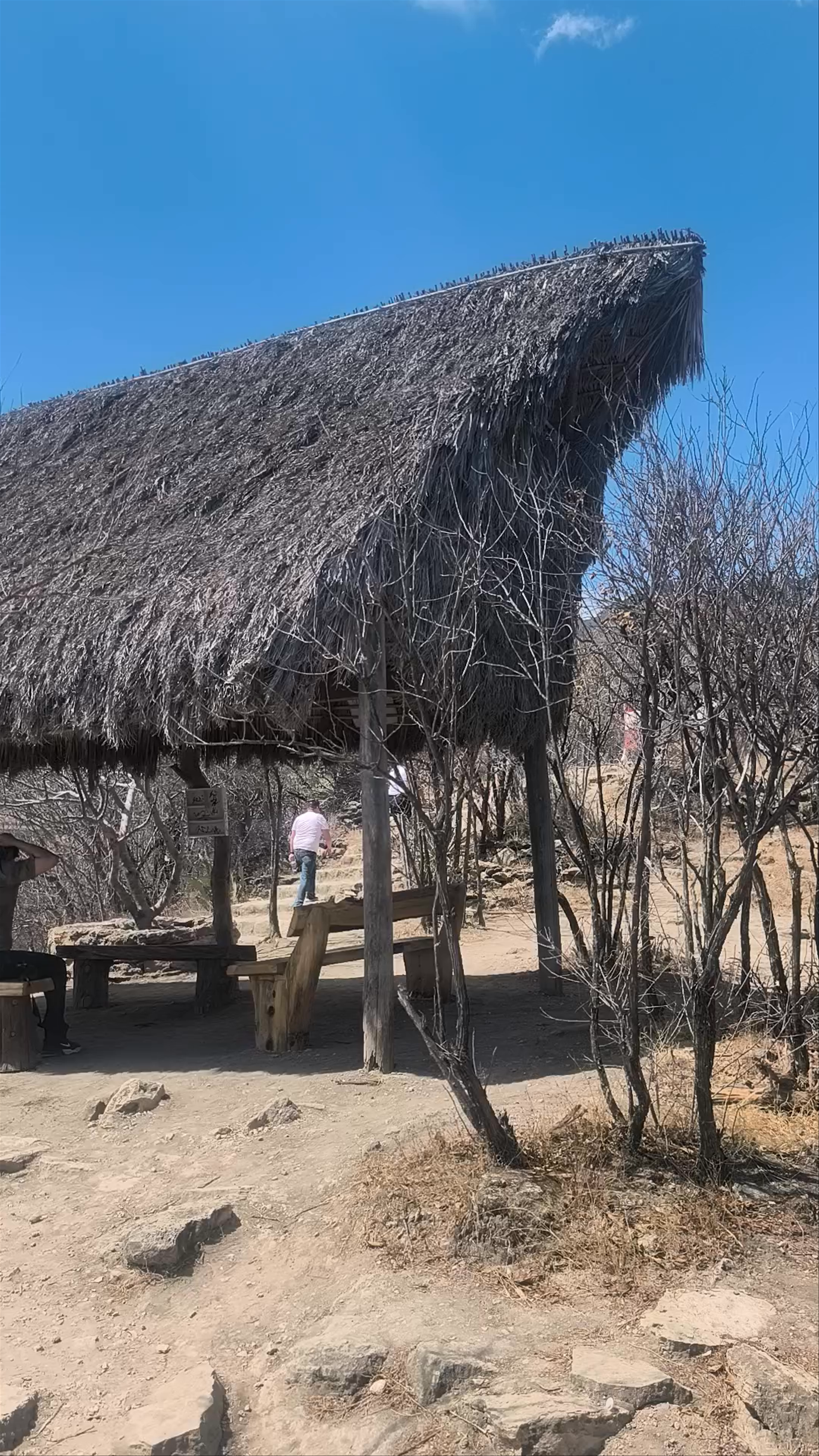 Mirador Oeste: Breathtaking Dry Landscape Views of San Lorenzo Albarradas, Oaxaca