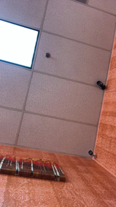 The Thread Lounge - There was nothing on tv... all the chairs filled up and everyone is on their phones... so the employee turned this on. silence was better - Threading Services Near Me - Brea, California
