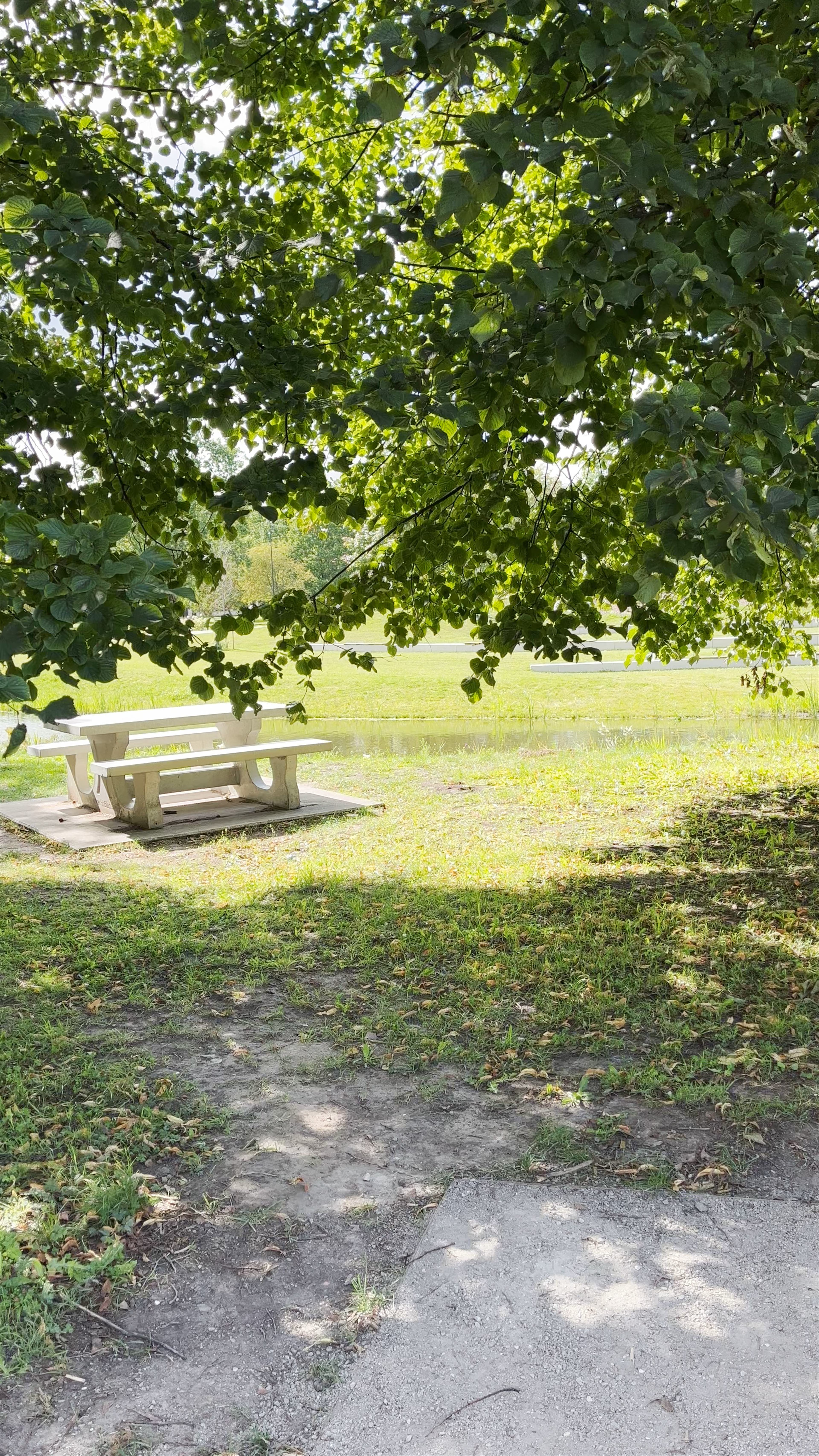 Uzvaras Park Serenity: A Peaceful Oasis in Riga