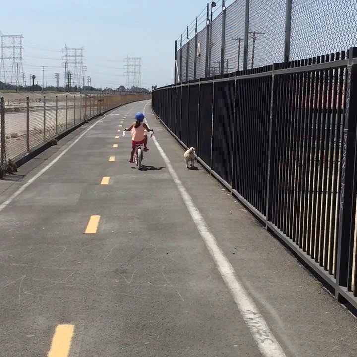Maywood Riverfront Park - my dog and my daughter love to come here but u can se there's a lot of gangs tags on the floor so sad - Parks Near Me - Maywood, California