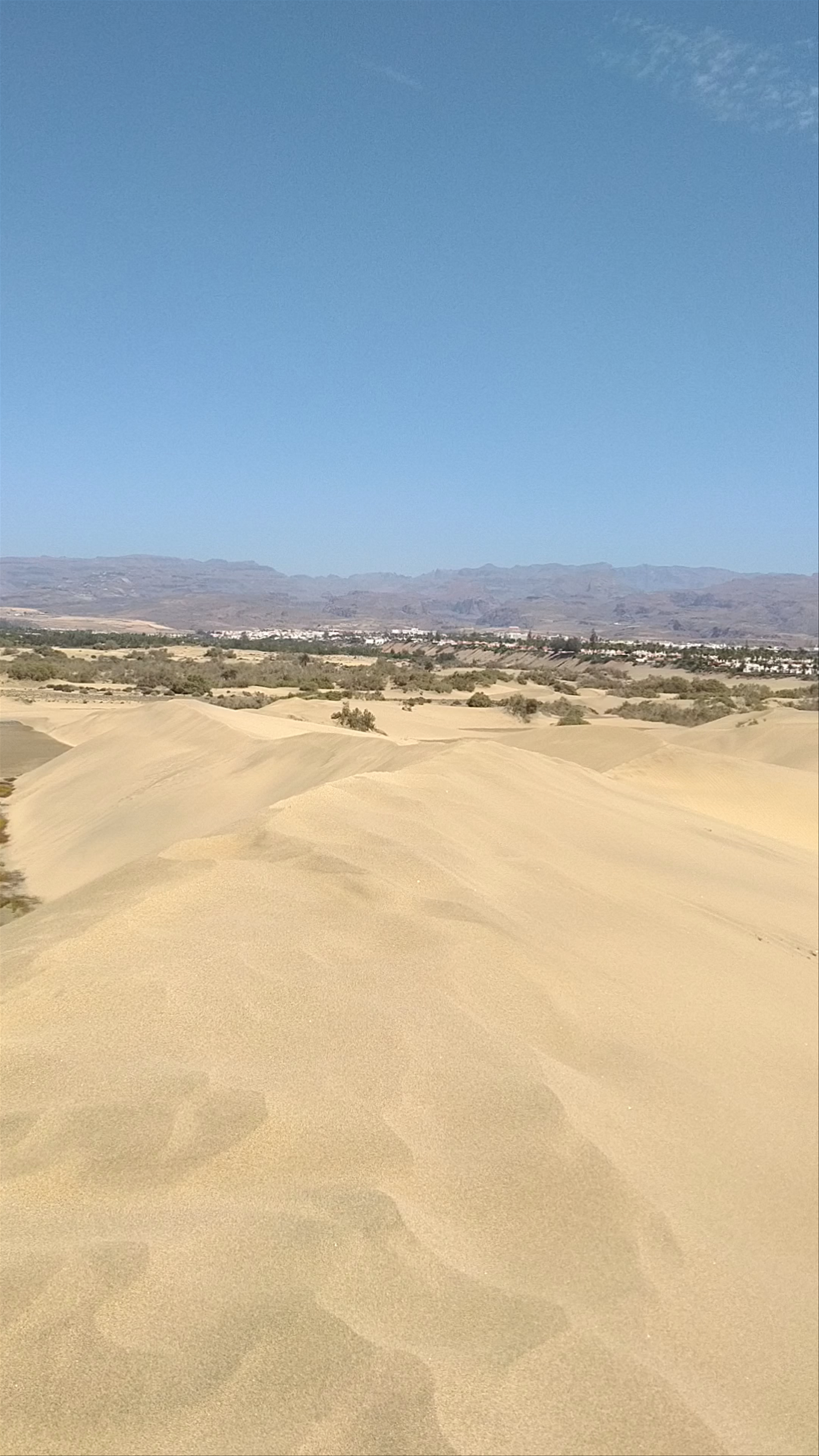 Maspalomas Dunes: Majestic Desert Escape in the Canary Islands