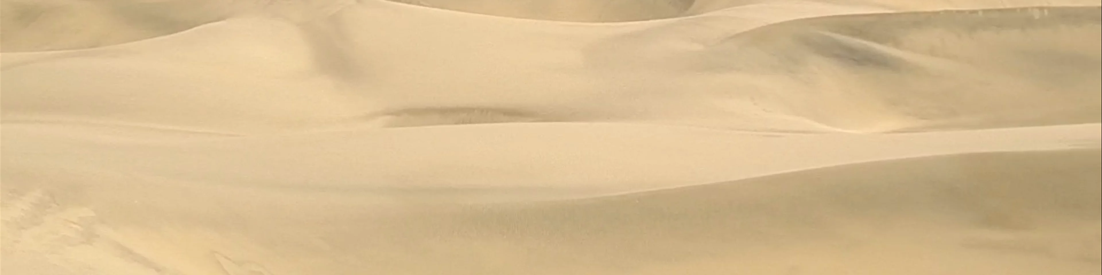 Maspalomas dunes