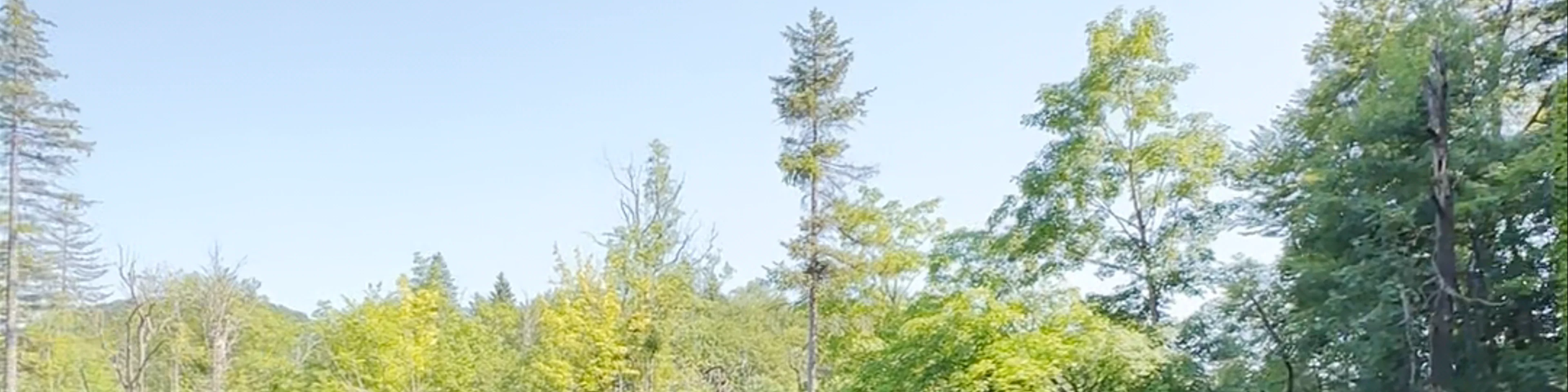 Veliki Burget