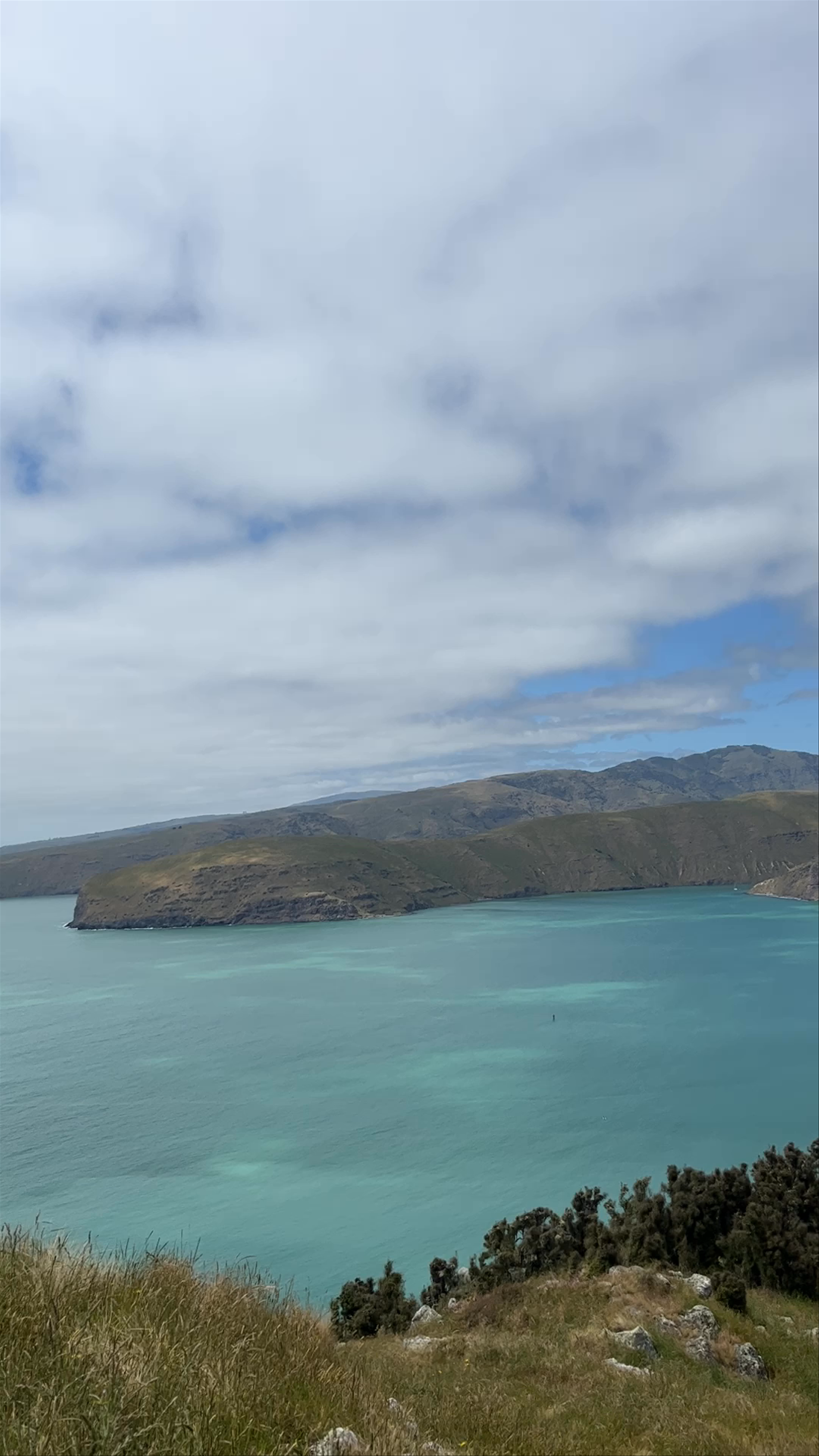 Godley Head Walkway Taylors Mistake Road